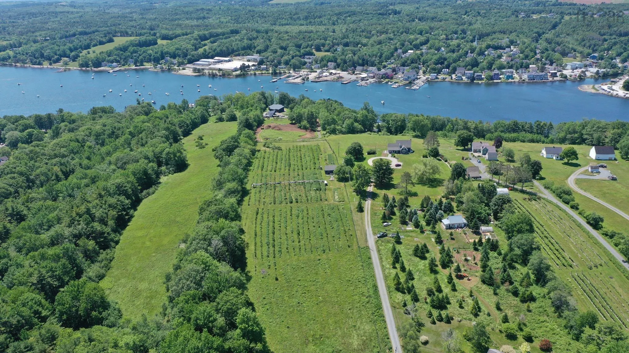 Highway 3 Lot 1, Mahone Bay, NS B0J 2E0, ,Land,For Sale,Highway 3,202516006