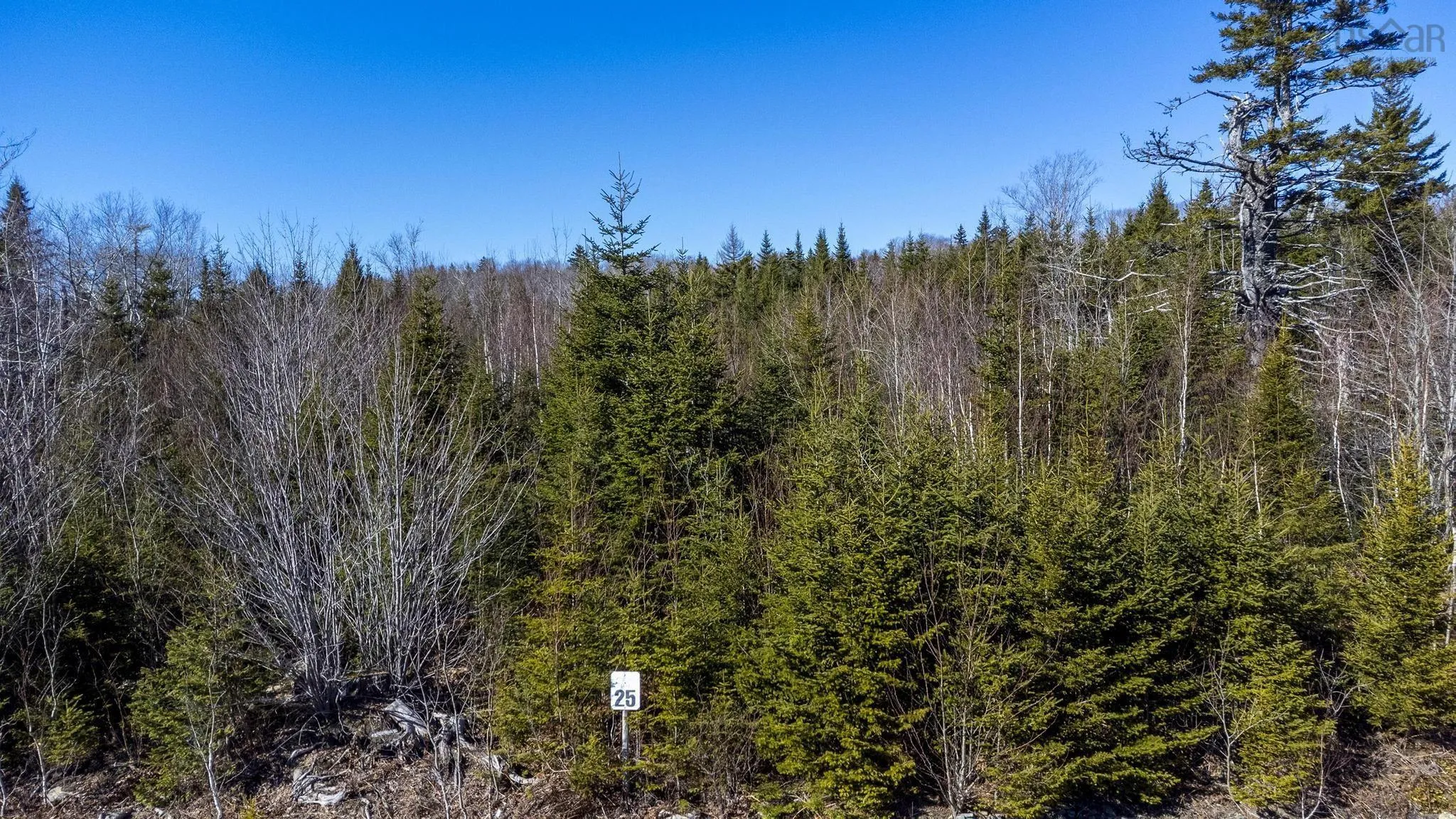25 Highland Drive, Ardoise Ns B0n 1w8, ,Land,For Sale,Highland,202507905
