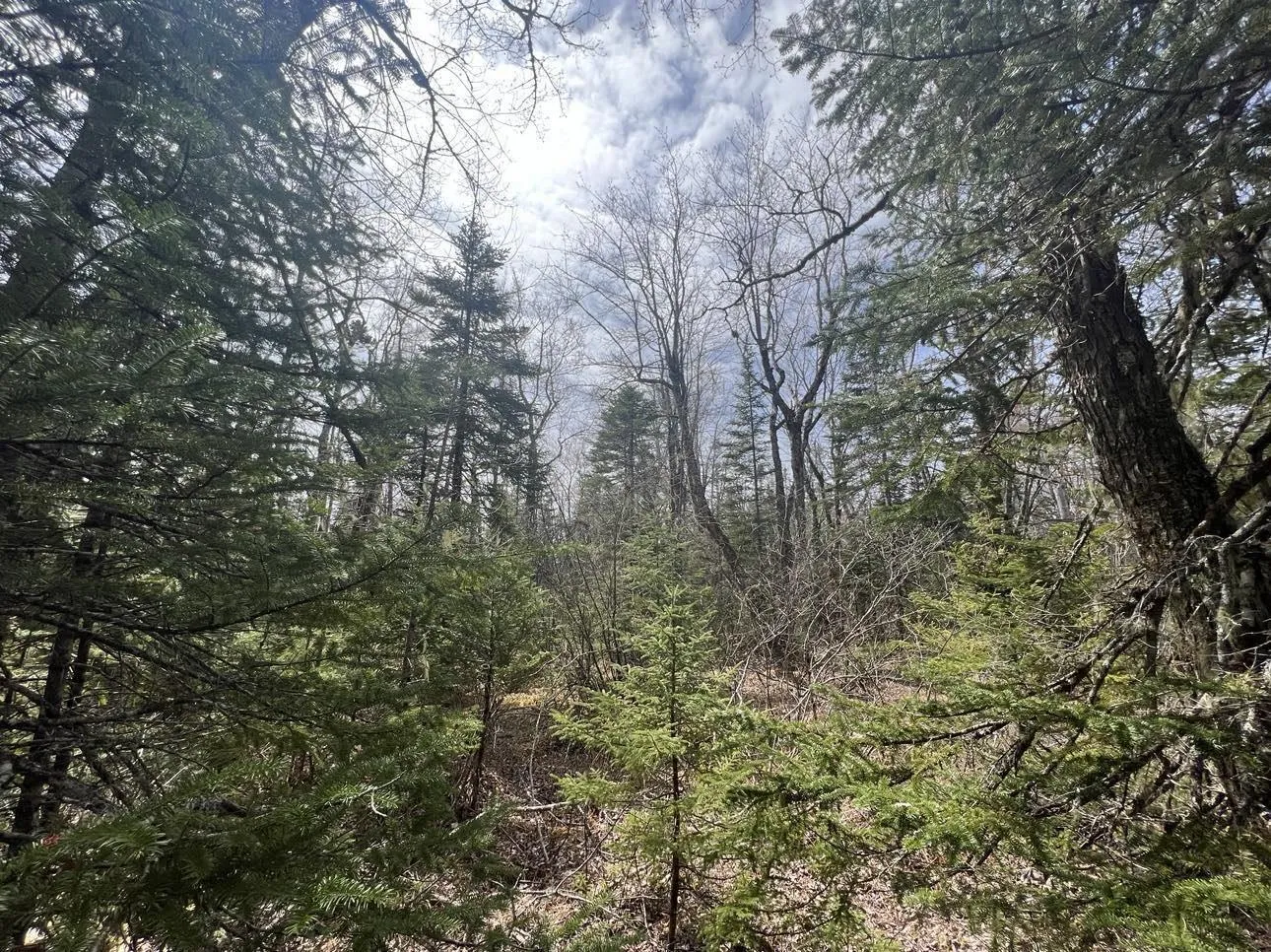 Pid 70184155 Highway 210, Middlefield, NS B0T 1E0, ,Land,For Sale,Pid 70184155 Highway 210,202513596