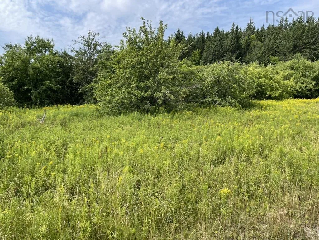 Meagher Road, Hays River, NS B0E 3M0, ,Land,For Sale,Meagher,202519853
