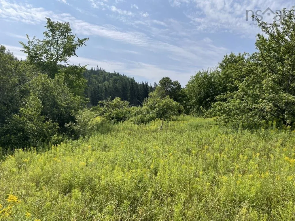 Meagher Road, Hays River, NS B0E 3M0, ,Land,For Sale,Meagher,202519853