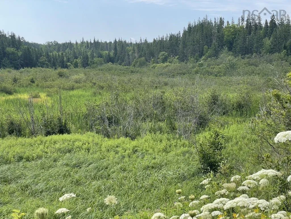 Meagher Road, Hays River, NS B0E 3M0, ,Land,For Sale,Meagher,202519853