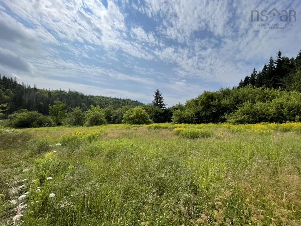 Meagher Road, Hays River, NS B0E 3M0, ,Land,For Sale,Meagher,202519853