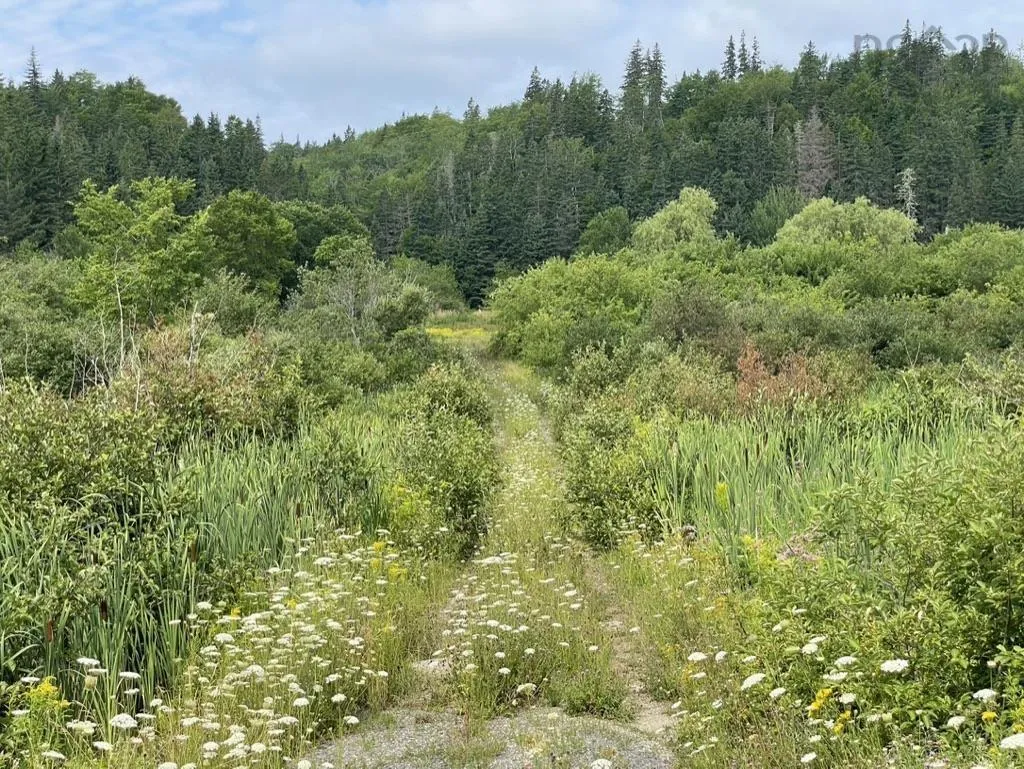 Meagher Road, Hays River, NS B0E 3M0, ,Land,For Sale,Meagher,202519853