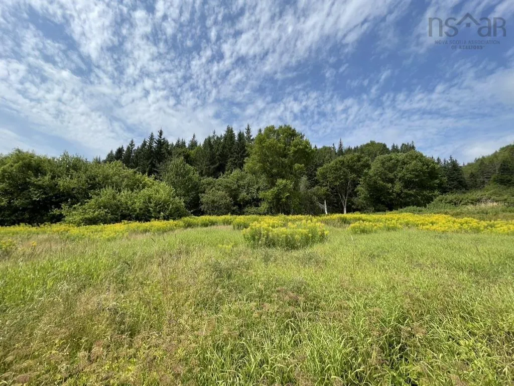 Meagher Road, Hays River, NS B0E 3M0, ,Land,For Sale,Meagher,202519853