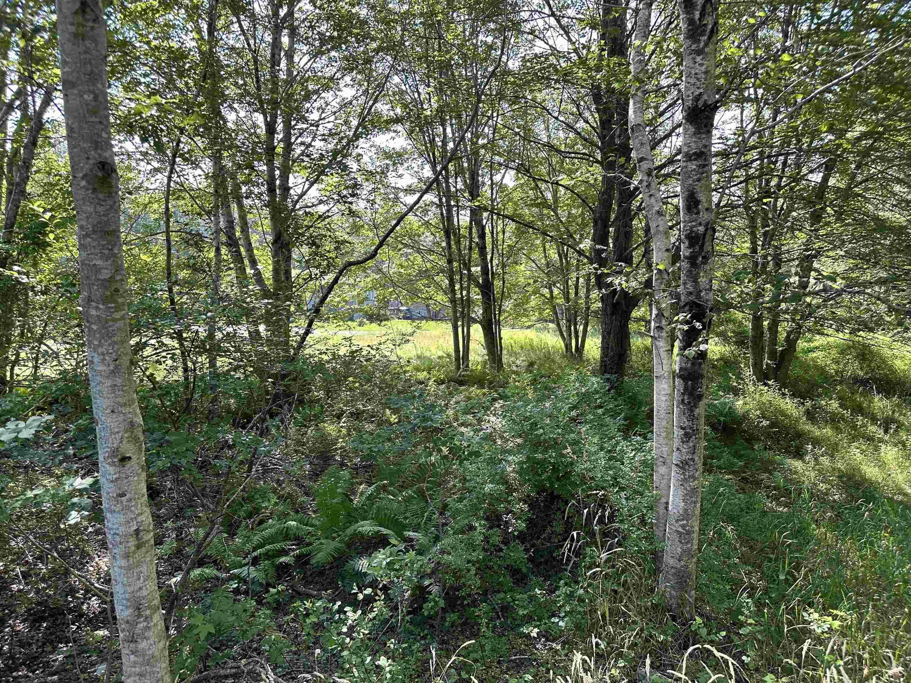 41 James Street, Brooklyn, NS B0J 1H0, 3 Bedrooms Bedrooms, ,1 BathroomBathrooms,Residential,For Sale,James,202519247