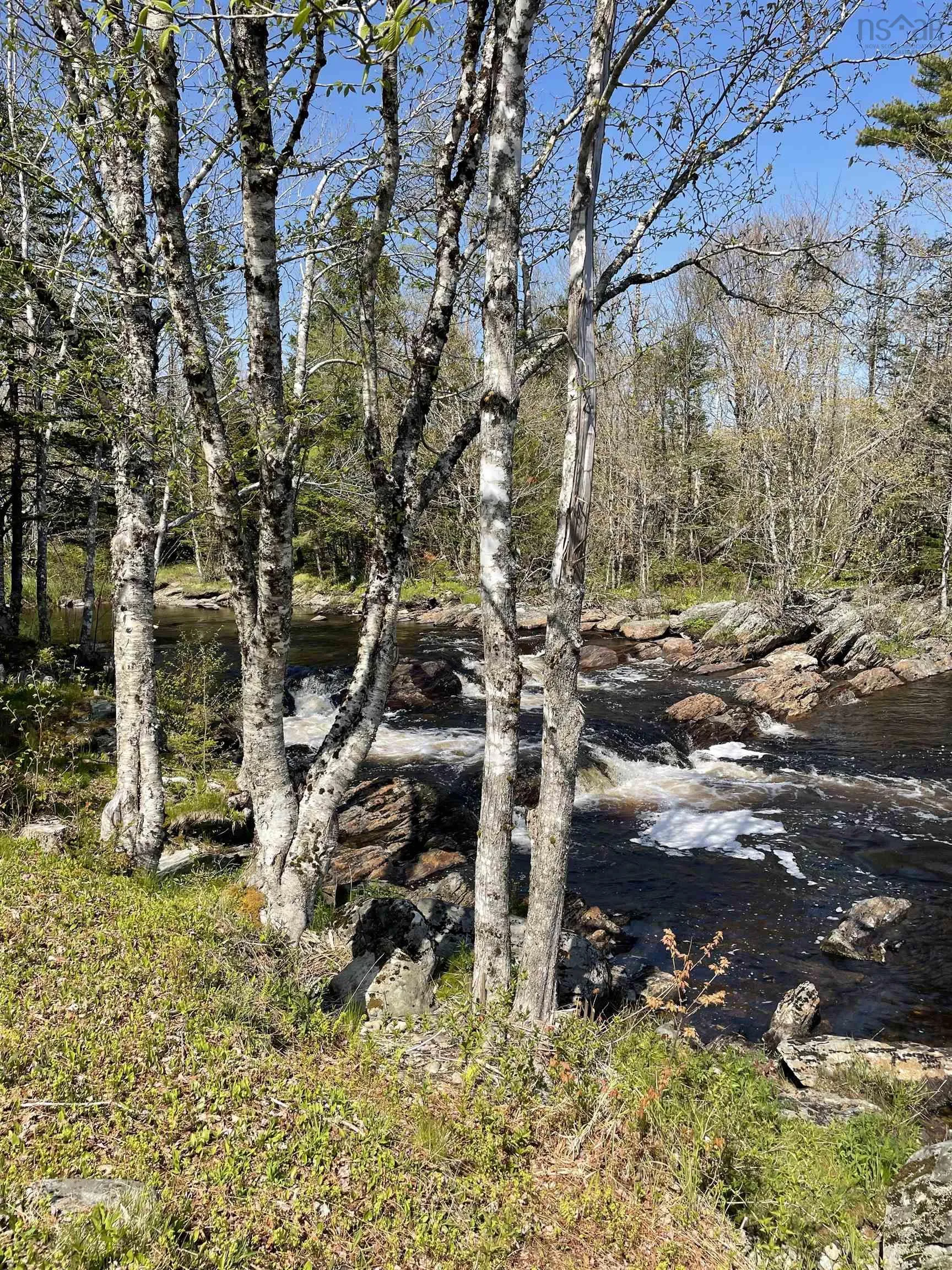 25 Ton Timber Hills Road, Moser River Ns B0j 2r0, 1 Bedroom Bedrooms, ,1 BathroomBathrooms,Residential,For Sale,Ton Timber Hills,202506454
