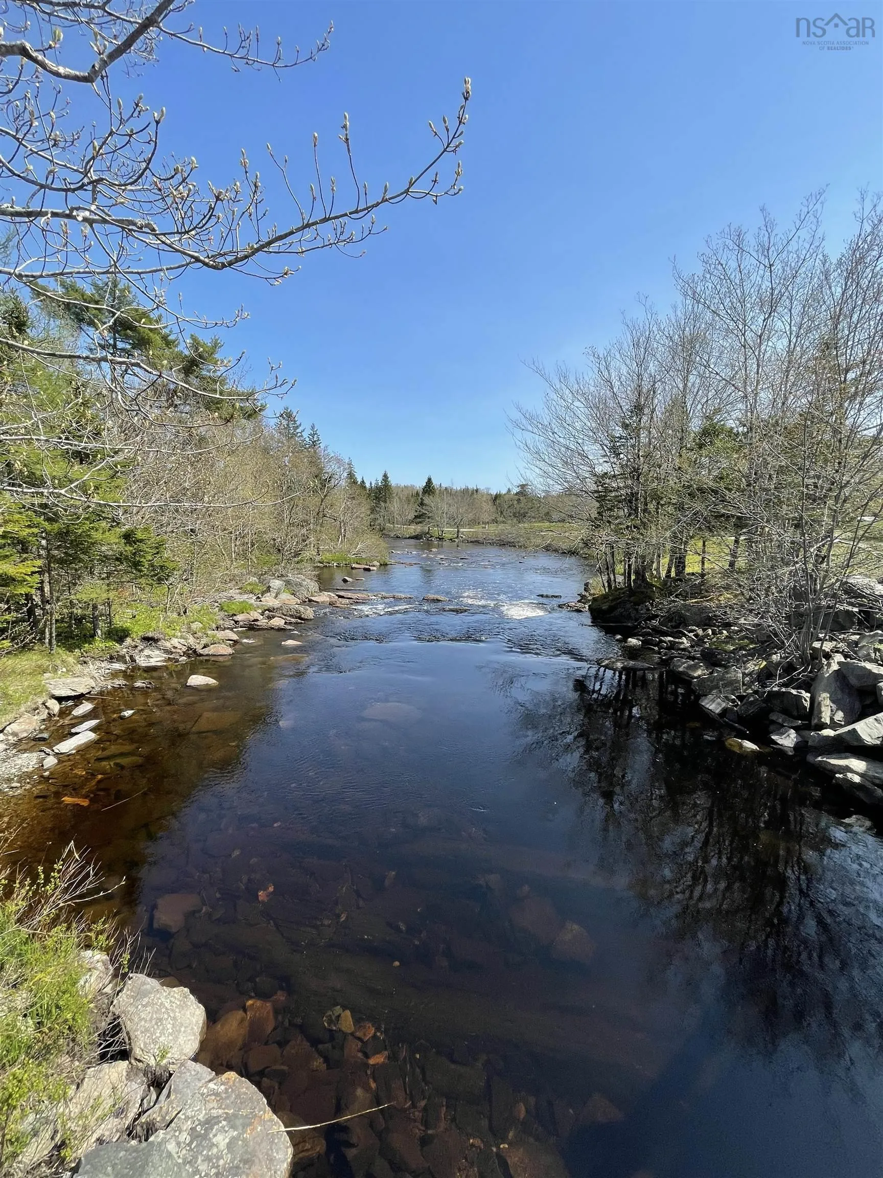 25 Ton Timber Hills Road, Moser River Ns B0j 2r0, 1 Bedroom Bedrooms, ,1 BathroomBathrooms,Residential,For Sale,Ton Timber Hills,202506454