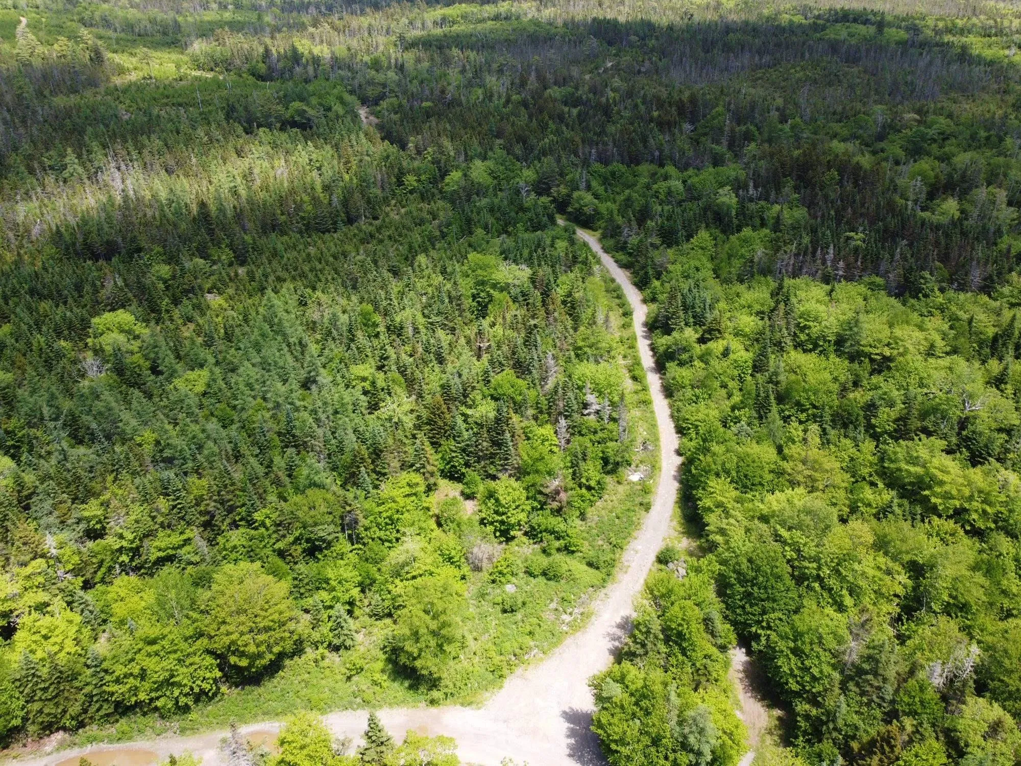 25 Ton Timber Hills Road, Moser River Ns B0j 2r0, 1 Bedroom Bedrooms, ,1 BathroomBathrooms,Residential,For Sale,Ton Timber Hills,202506454