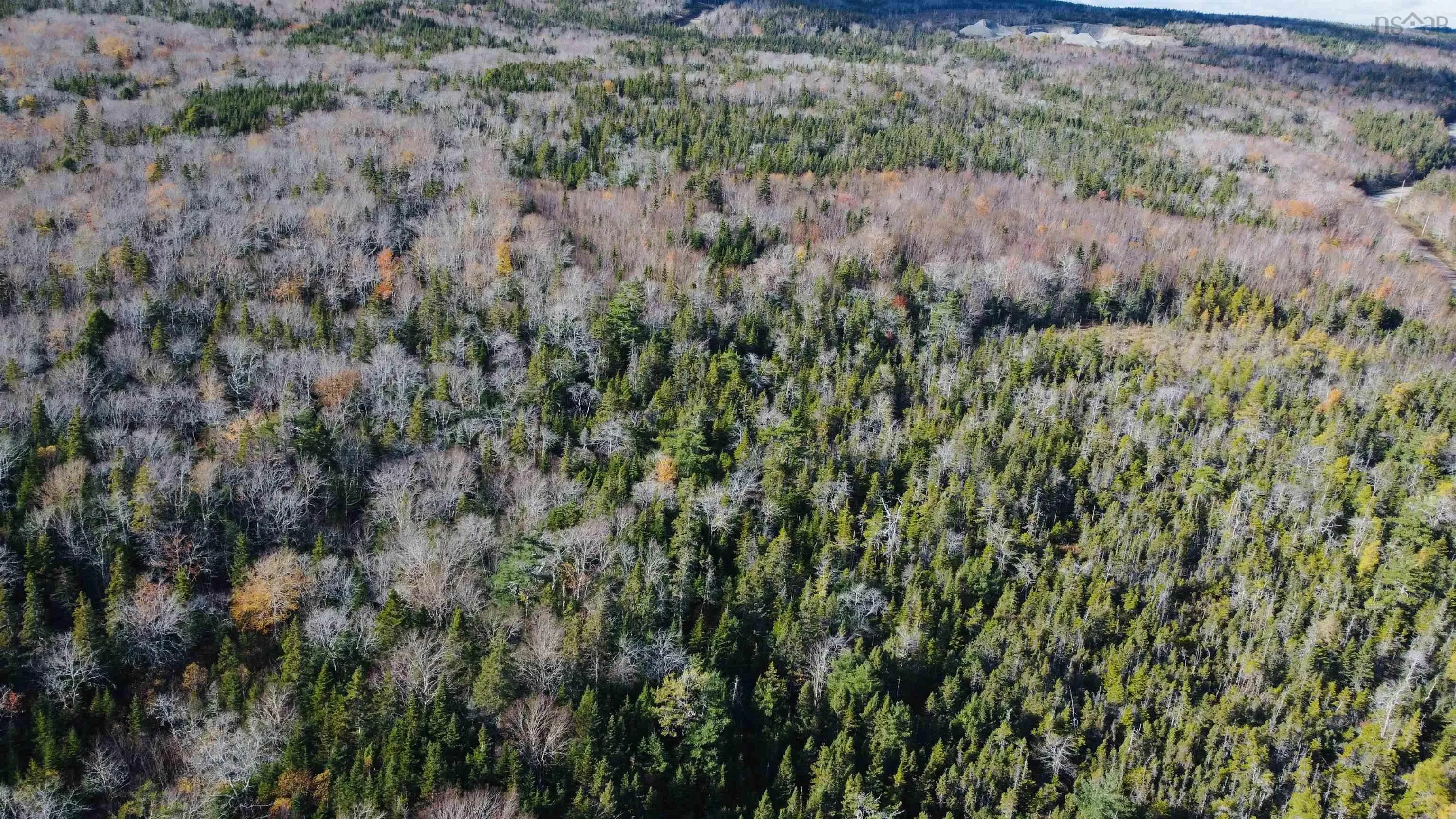 Mountain Road, Seaview Ns B0e 3b0, ,Land,For Sale,Mountain,202425523