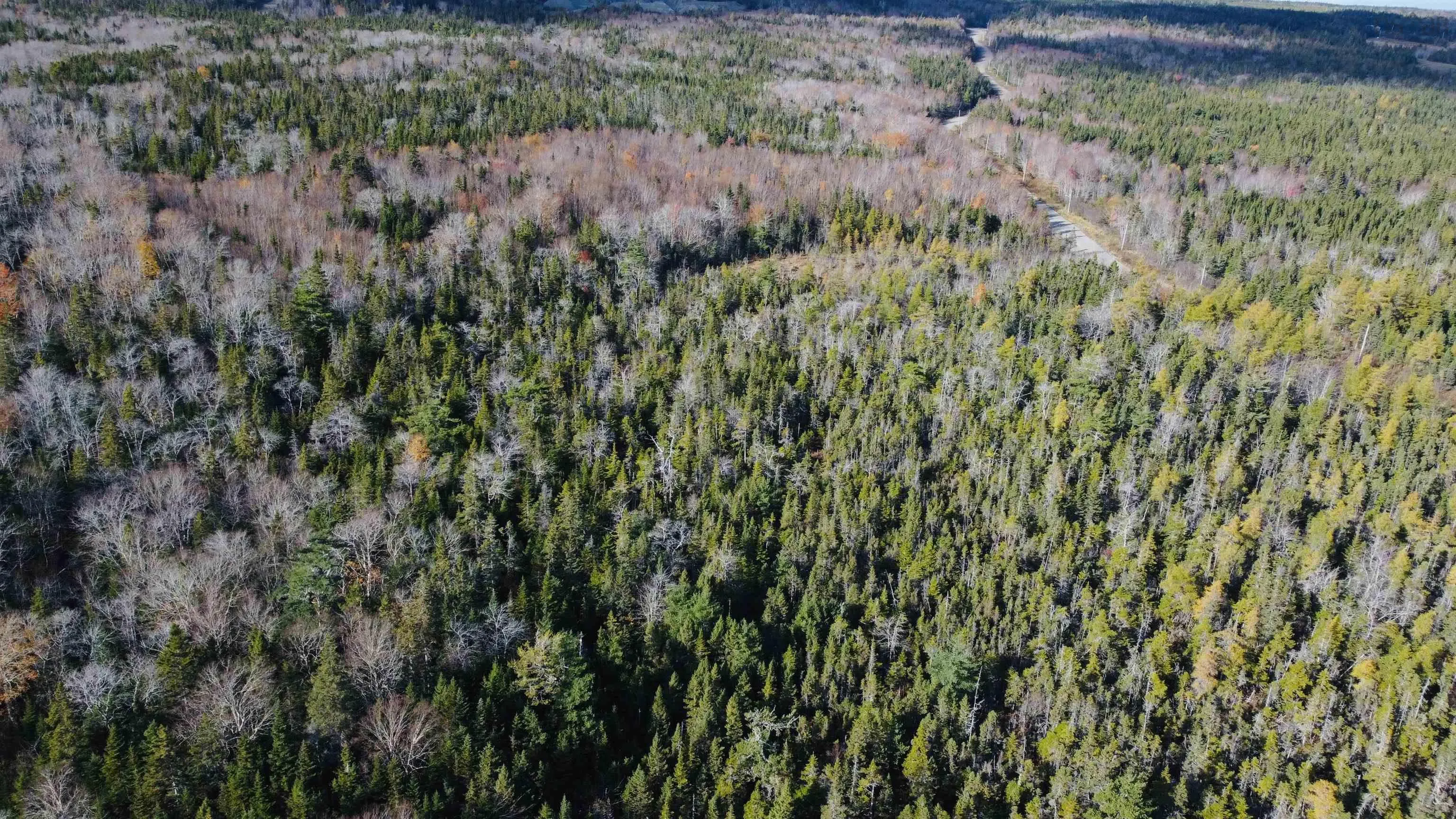 Mountain Road, Seaview Ns B0e 3b0, ,Land,For Sale,Mountain,202425523