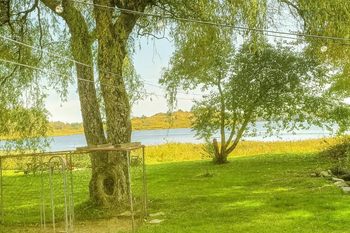 9773 Highway 8, Caledonia, NS B0T 1H0, 3 Bedrooms Bedrooms, ,1 BathroomBathrooms,Residential,For Sale,Highway 8,202524952