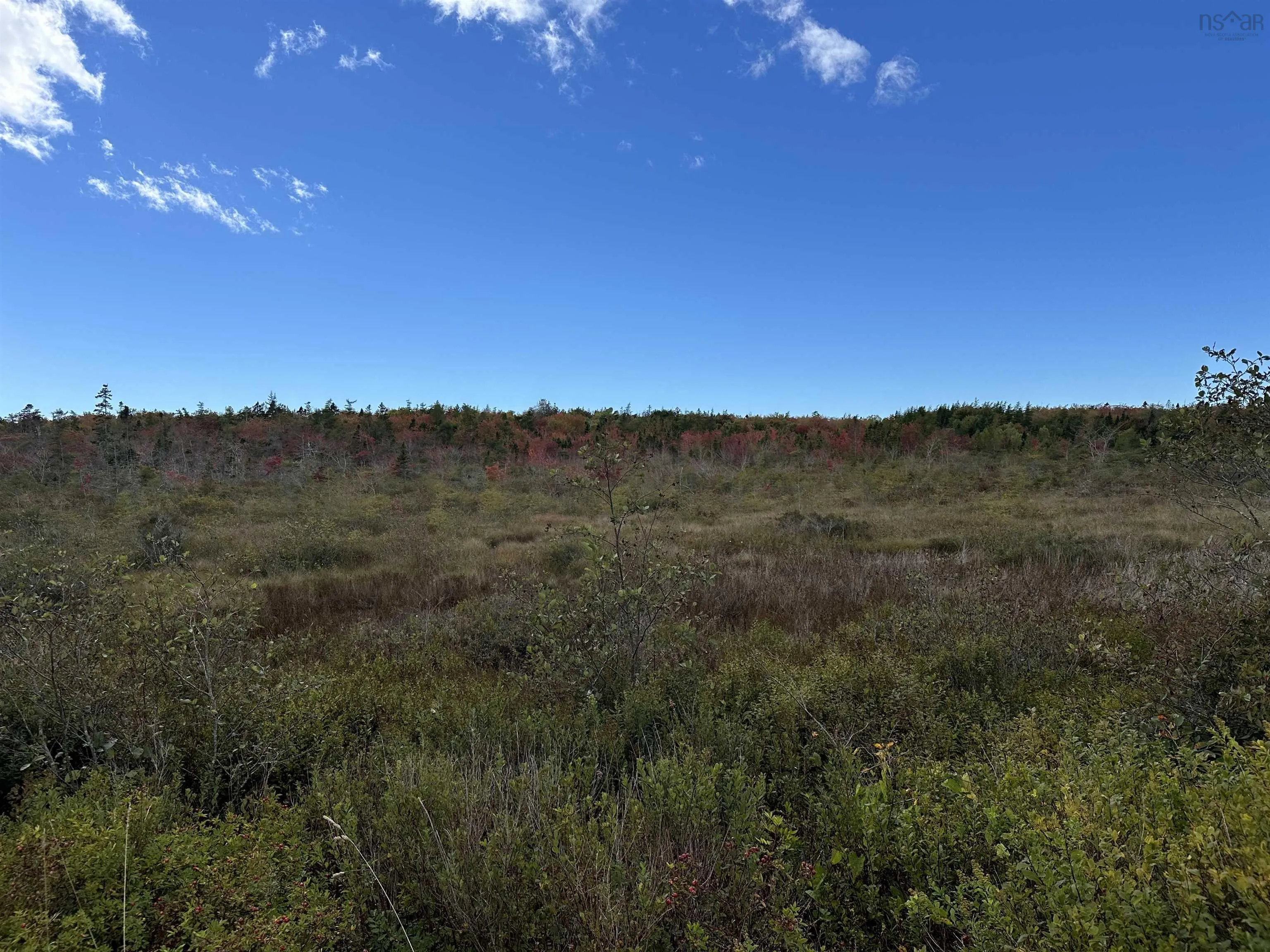 Highway 334, Plymouth Ns B0w 1b0, ,Land,For Sale,Highway 334,202418877