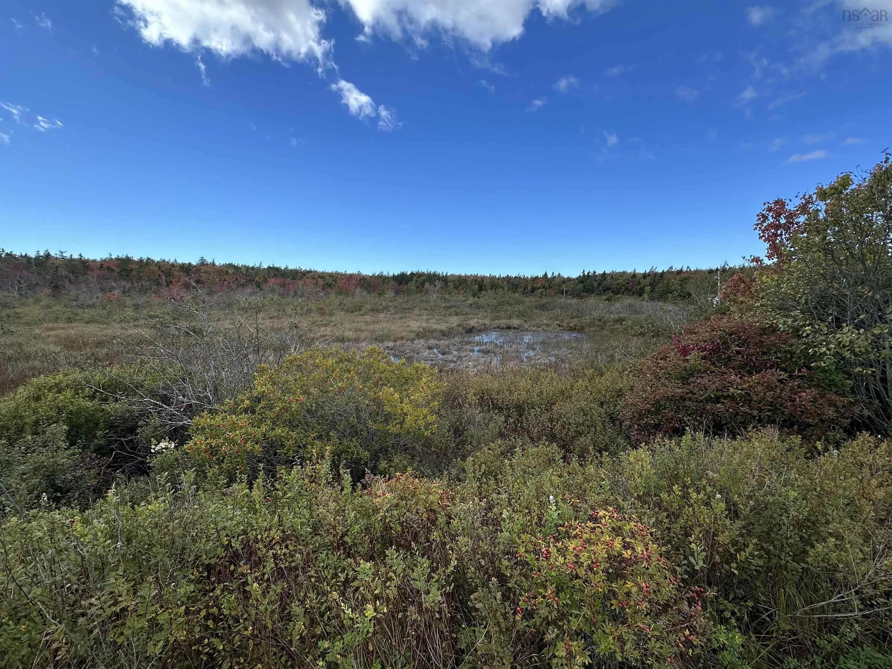 Highway 334, Plymouth Ns B0w 1b0, ,Land,For Sale,Highway 334,202418877