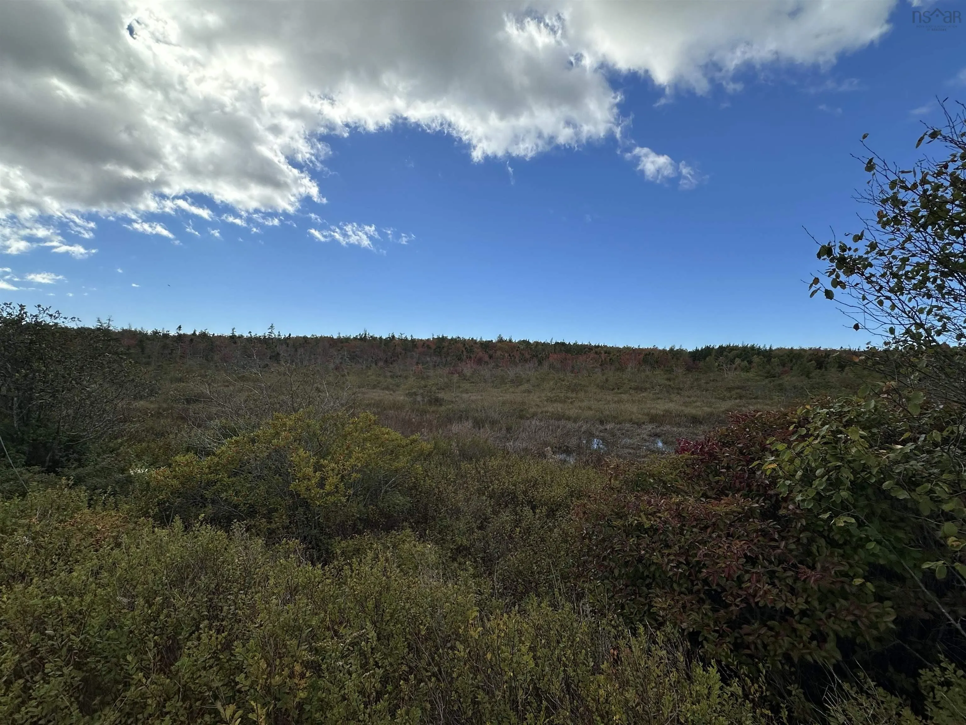 Highway 334, Plymouth Ns B0w 1b0, ,Land,For Sale,Highway 334,202418877
