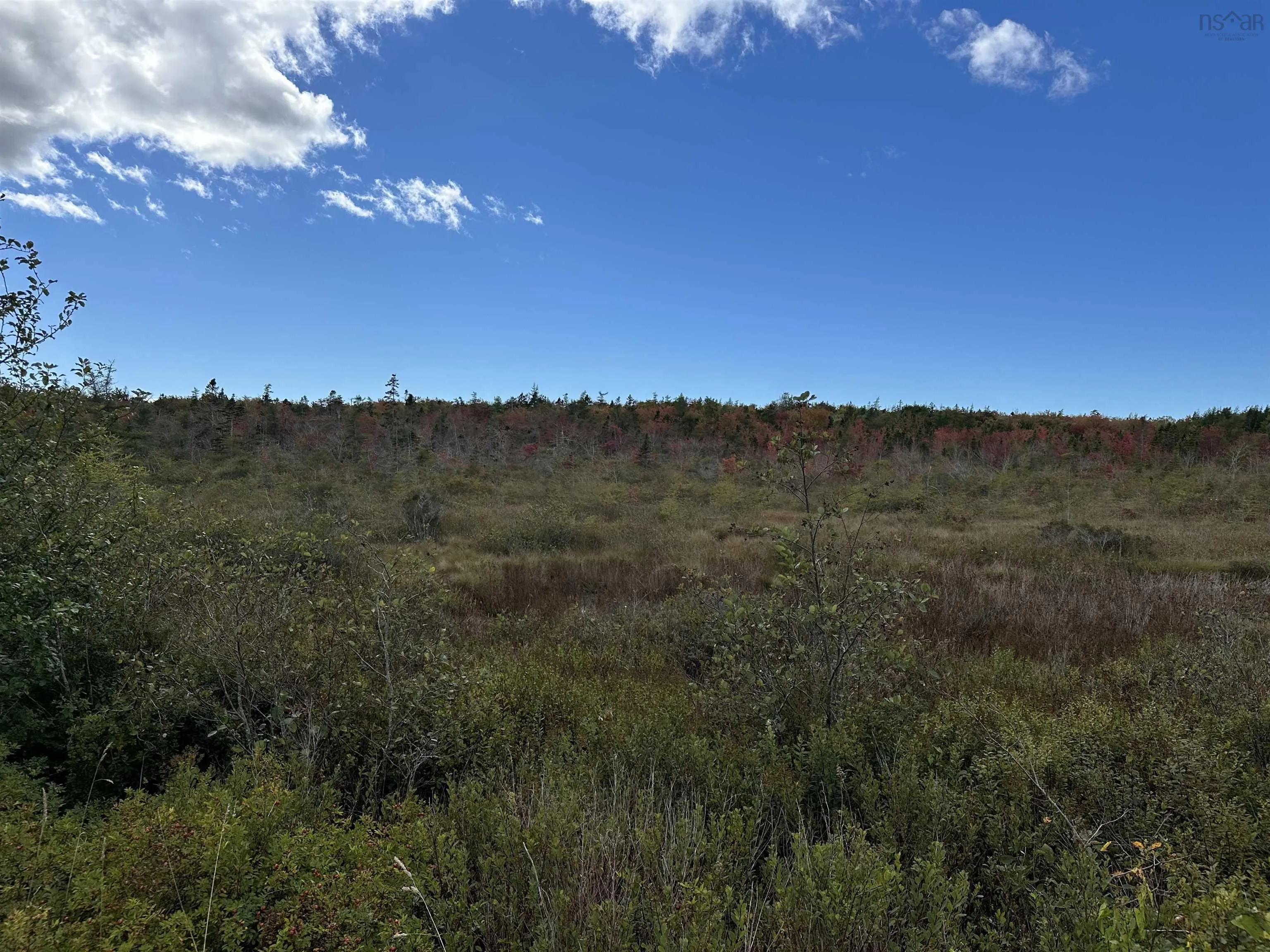 Highway 334, Plymouth Ns B0w 1b0, ,Land,For Sale,Highway 334,202418877