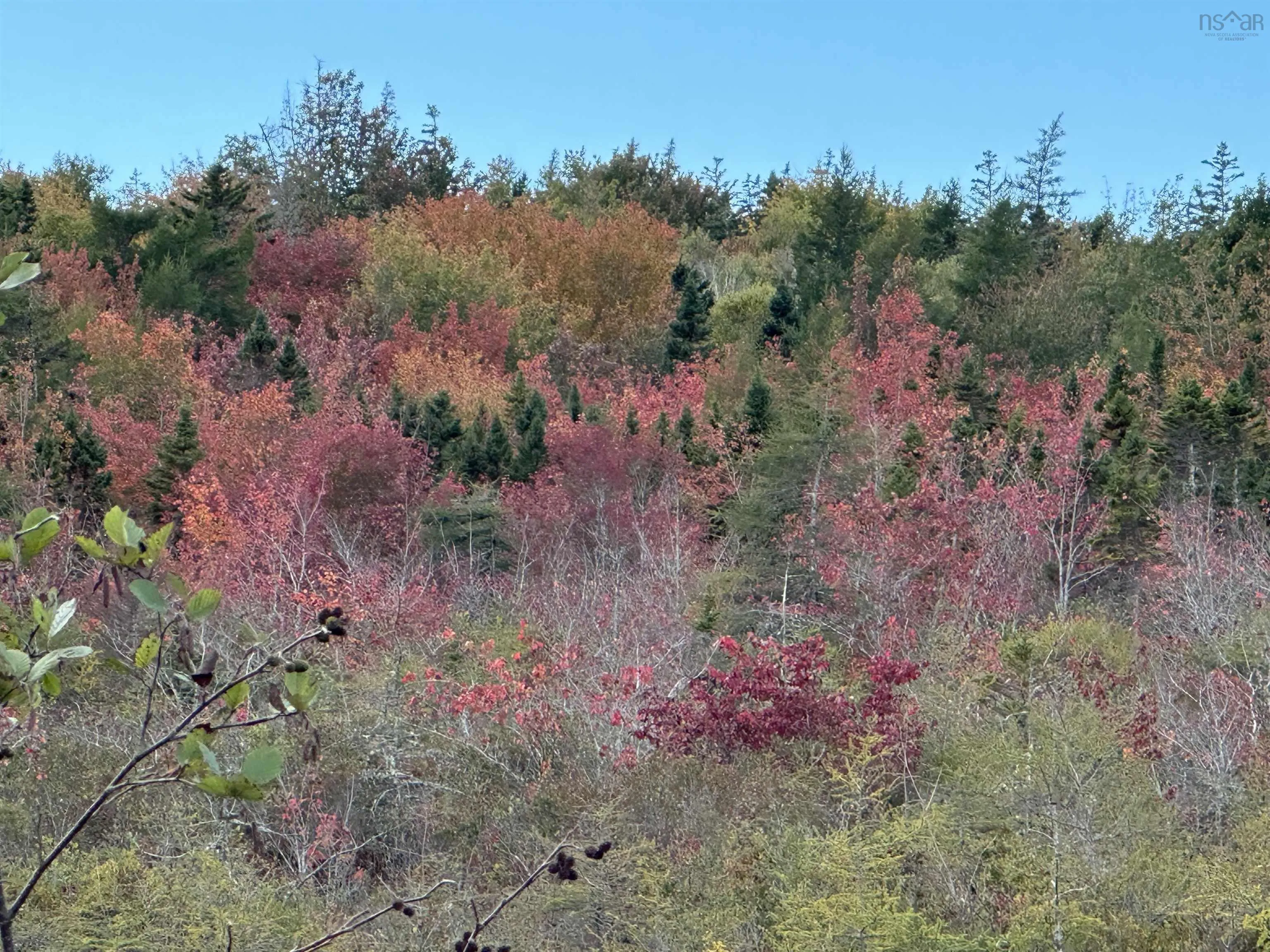 Highway 334, Plymouth Ns B0w 1b0, ,Land,For Sale,Highway 334,202418877