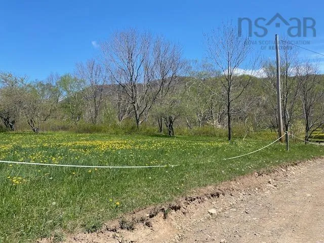 Cabot Trail & Pembroke Lake Road, Grand Étang Ns B0e 1l0, ,Land,For Sale,Cabot Trail & Pembroke Lake Road,202500960