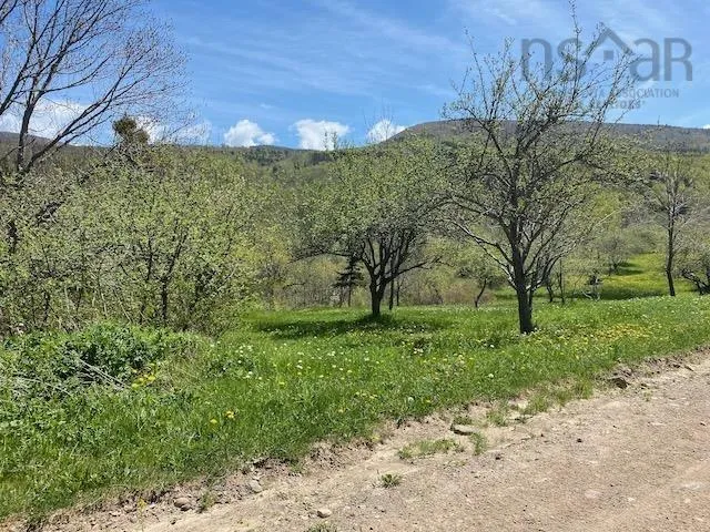 Cabot Trail & Pembroke Lake Road, Grand Étang Ns B0e 1l0, ,Land,For Sale,Cabot Trail & Pembroke Lake Road,202500960