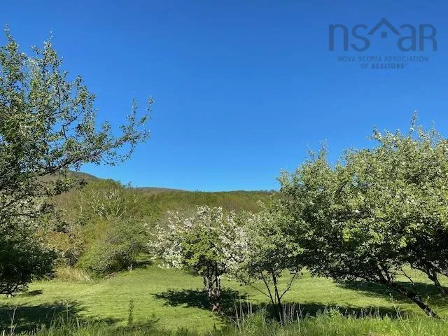 Cabot Trail & Pembroke Lake Road, Grand Étang Ns B0e 1l0, ,Land,For Sale,Cabot Trail & Pembroke Lake Road,202500960
