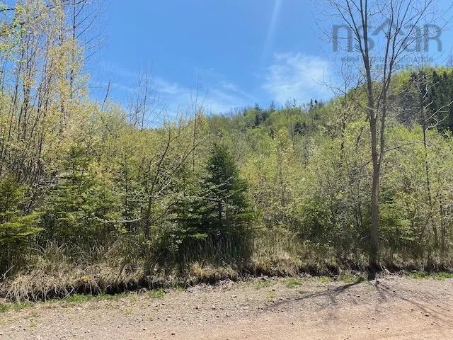 Cabot Trail & Pembroke Lake Road, Grand Étang Ns B0e 1l0, ,Land,For Sale,Cabot Trail & Pembroke Lake Road,202500960