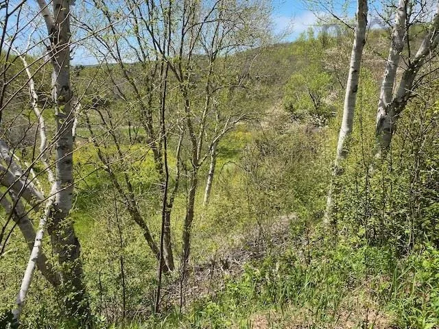 Cabot Trail & Pembroke Lake Road, Grand Étang Ns B0e 1l0, ,Land,For Sale,Cabot Trail & Pembroke Lake Road,202500960