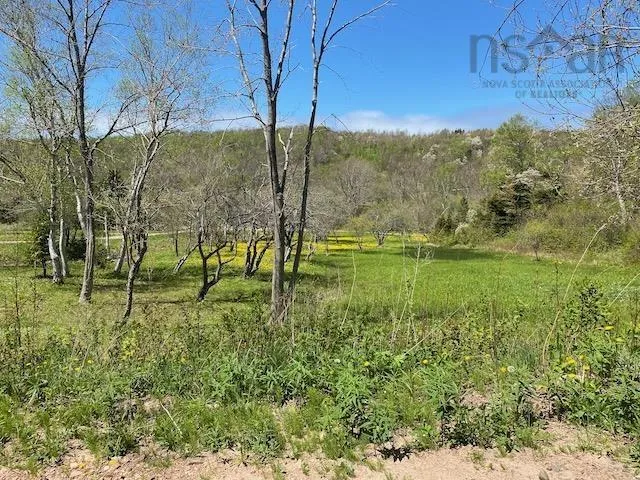 Cabot Trail & Pembroke Lake Road, Grand Étang Ns B0e 1l0, ,Land,For Sale,Cabot Trail & Pembroke Lake Road,202500960