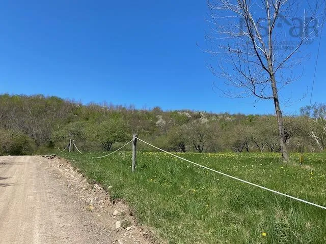 Cabot Trail & Pembroke Lake Road, Grand Étang Ns B0e 1l0, ,Land,For Sale,Cabot Trail & Pembroke Lake Road,202500960