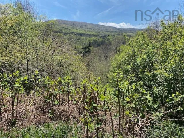 Cabot Trail & Pembroke Lake Road, Grand Étang Ns B0e 1l0, ,Land,For Sale,Cabot Trail & Pembroke Lake Road,202500960
