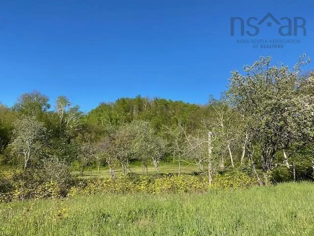 Cabot Trail & Pembroke Lake Road, Grand Étang Ns B0e 1l0, ,Land,For Sale,Cabot Trail & Pembroke Lake Road,202500960