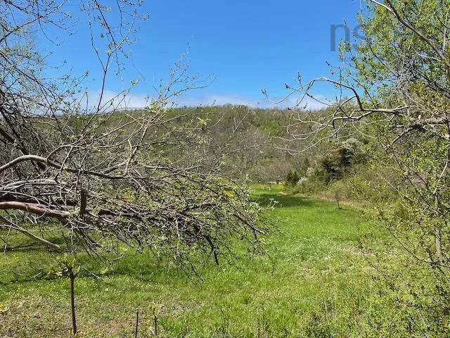 Cabot Trail & Pembroke Lake Road, Grand Étang Ns B0e 1l0, ,Land,For Sale,Cabot Trail & Pembroke Lake Road,202500960