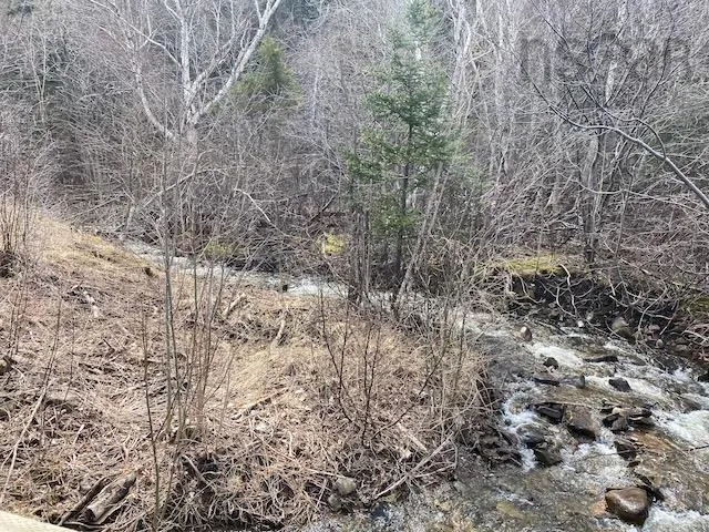 Cabot Trail & Pembroke Lake Road, Grand Étang Ns B0e 1l0, ,Land,For Sale,Cabot Trail & Pembroke Lake Road,202500960
