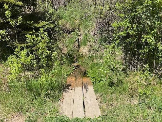 Cabot Trail & Pembroke Lake Road, Grand Étang Ns B0e 1l0, ,Land,For Sale,Cabot Trail & Pembroke Lake Road,202500960