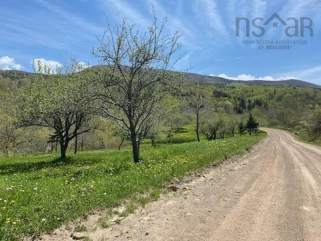 Cabot Trail & Pembroke Lake Road, Grand Étang Ns B0e 1l0, ,Land,For Sale,Cabot Trail & Pembroke Lake Road,202500960