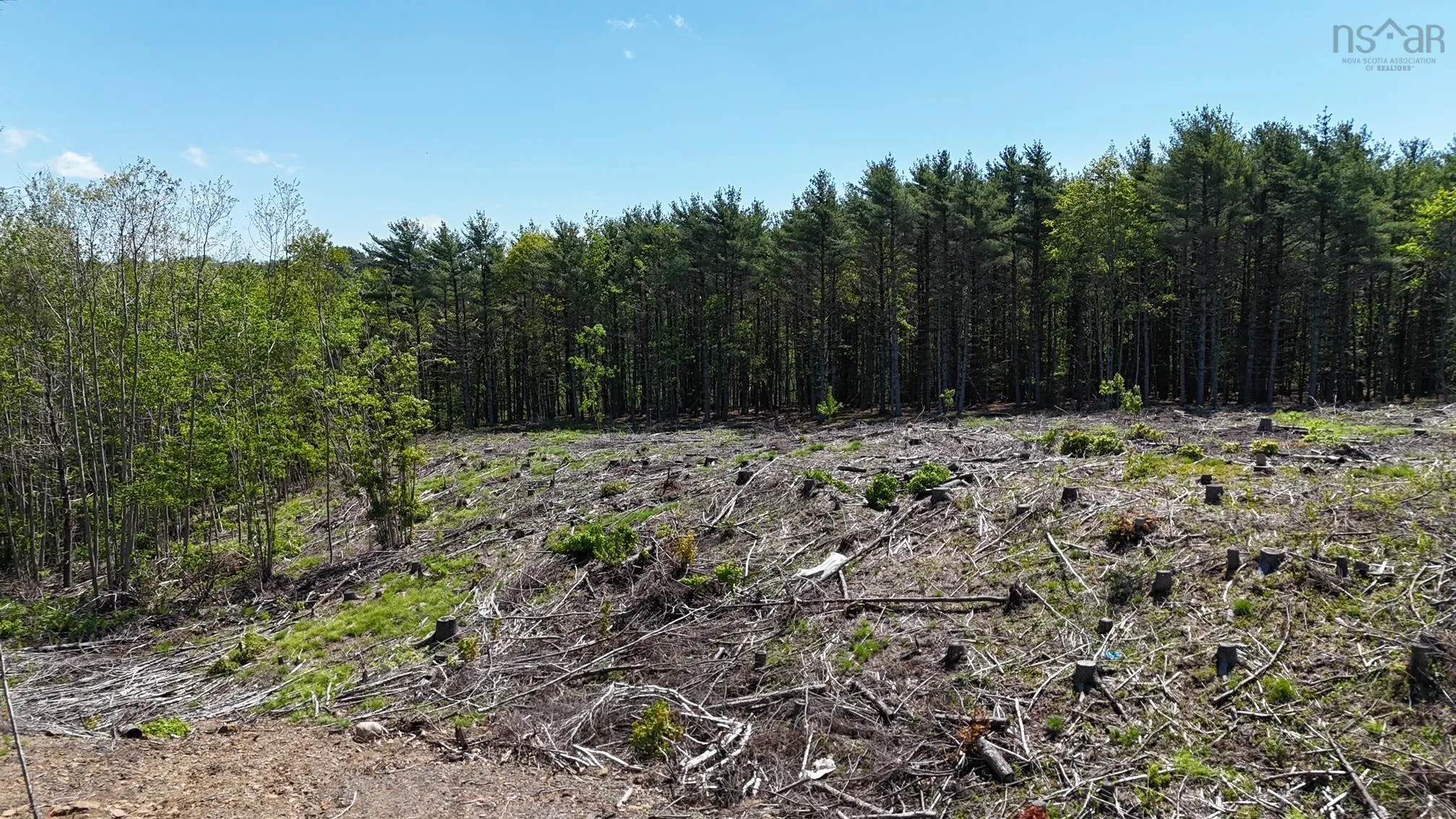 Logan Road, Bridgewater, NS B4V 3J8, ,Land,For Sale,Logan,202513035