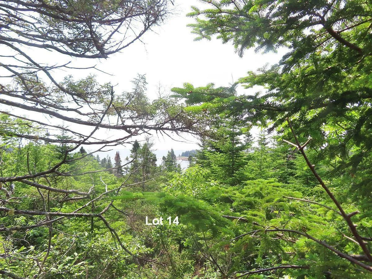 Lot 14 Hwy 316 (english Harbour), Cole Harbour Ns B0h 1t0, ,Land,For Sale,Hwy 316 (English Harbour),202428069