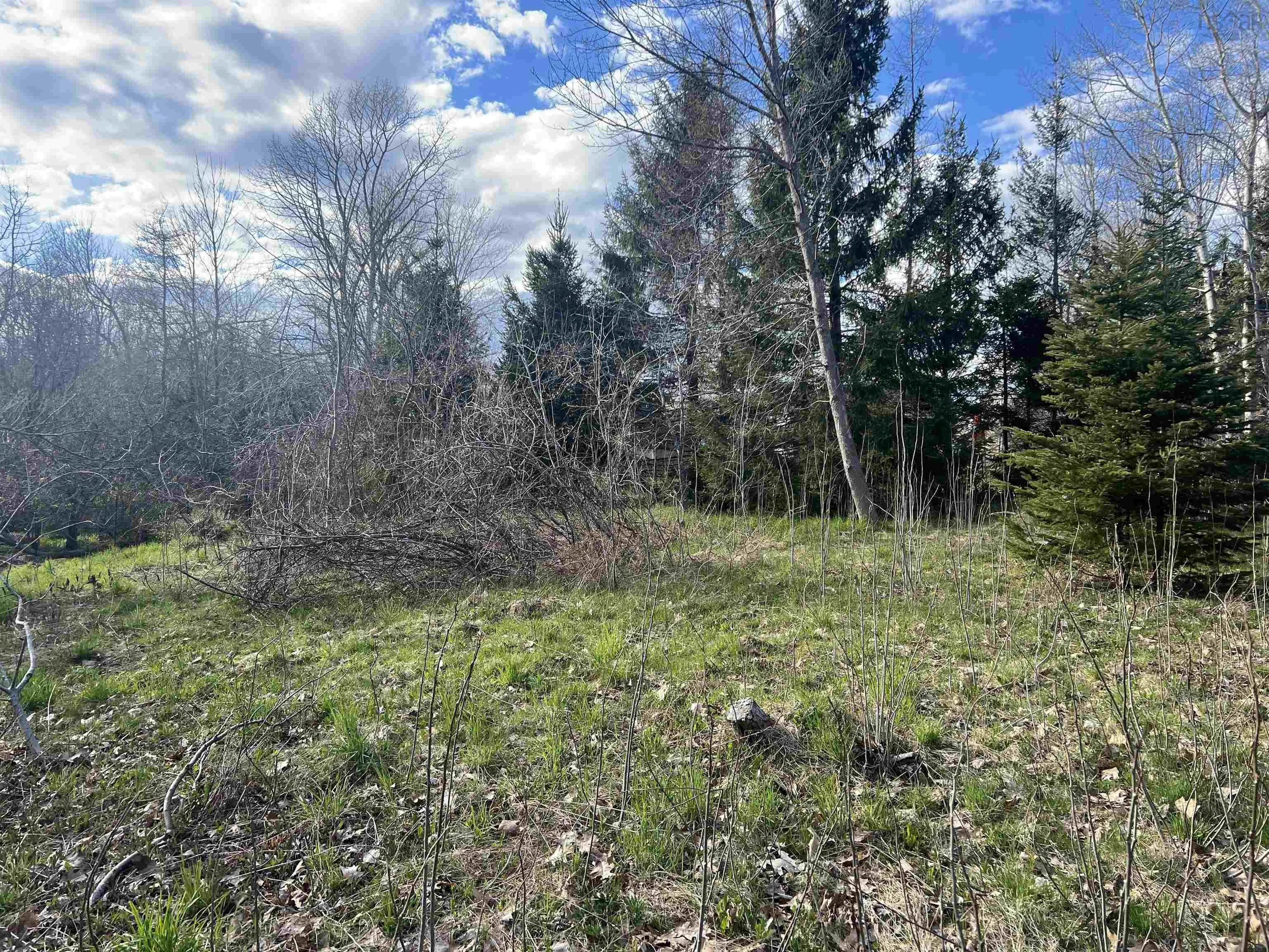 Lot 2-1-b Seaview Cemetary Road, Bay View Ns B0k 1h0, ,Land,For Sale,Seaview Cemetary,202410239