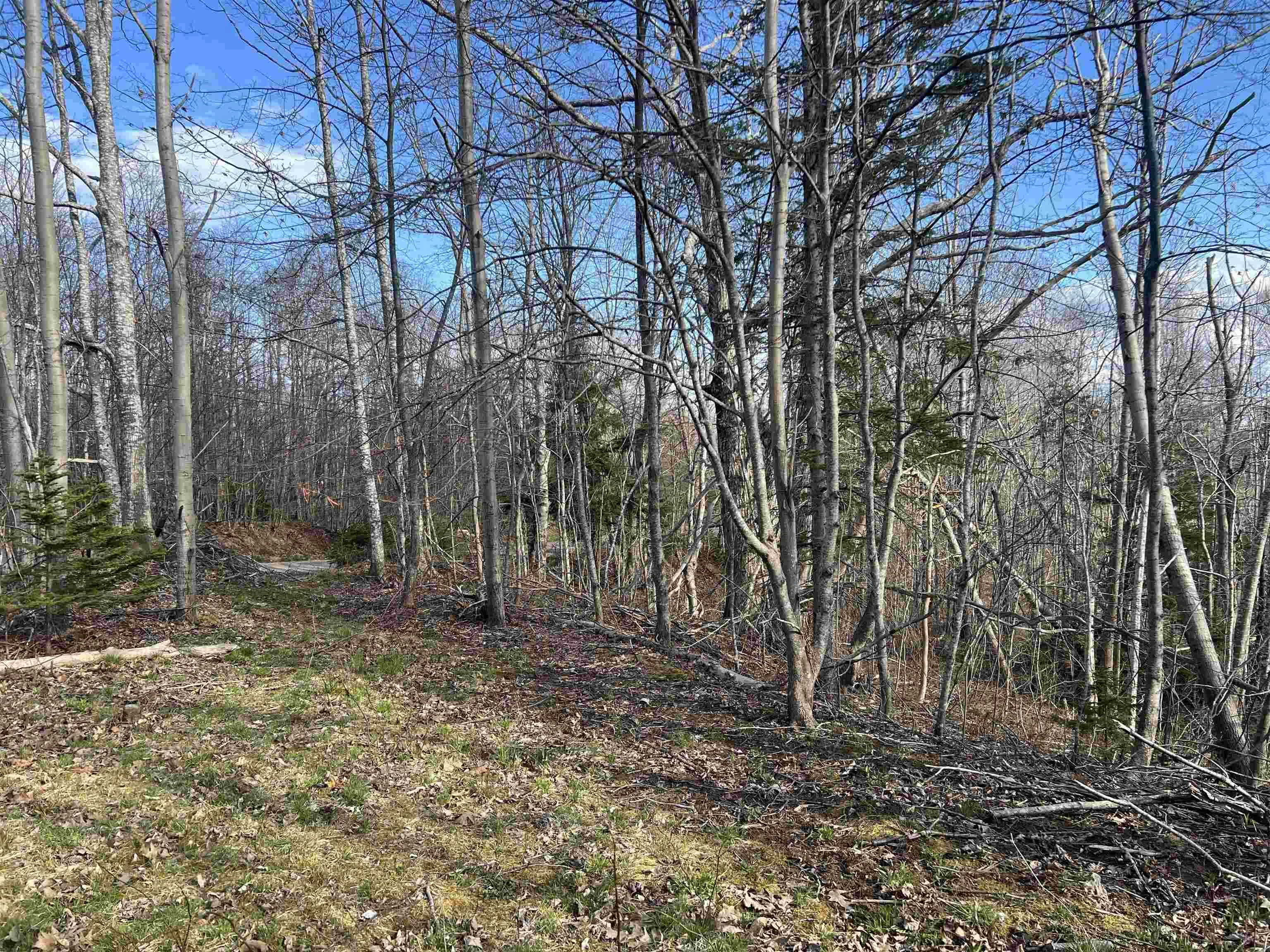 Lot 2-1-b Seaview Cemetary Road, Bay View Ns B0k 1h0, ,Land,For Sale,Seaview Cemetary,202410239