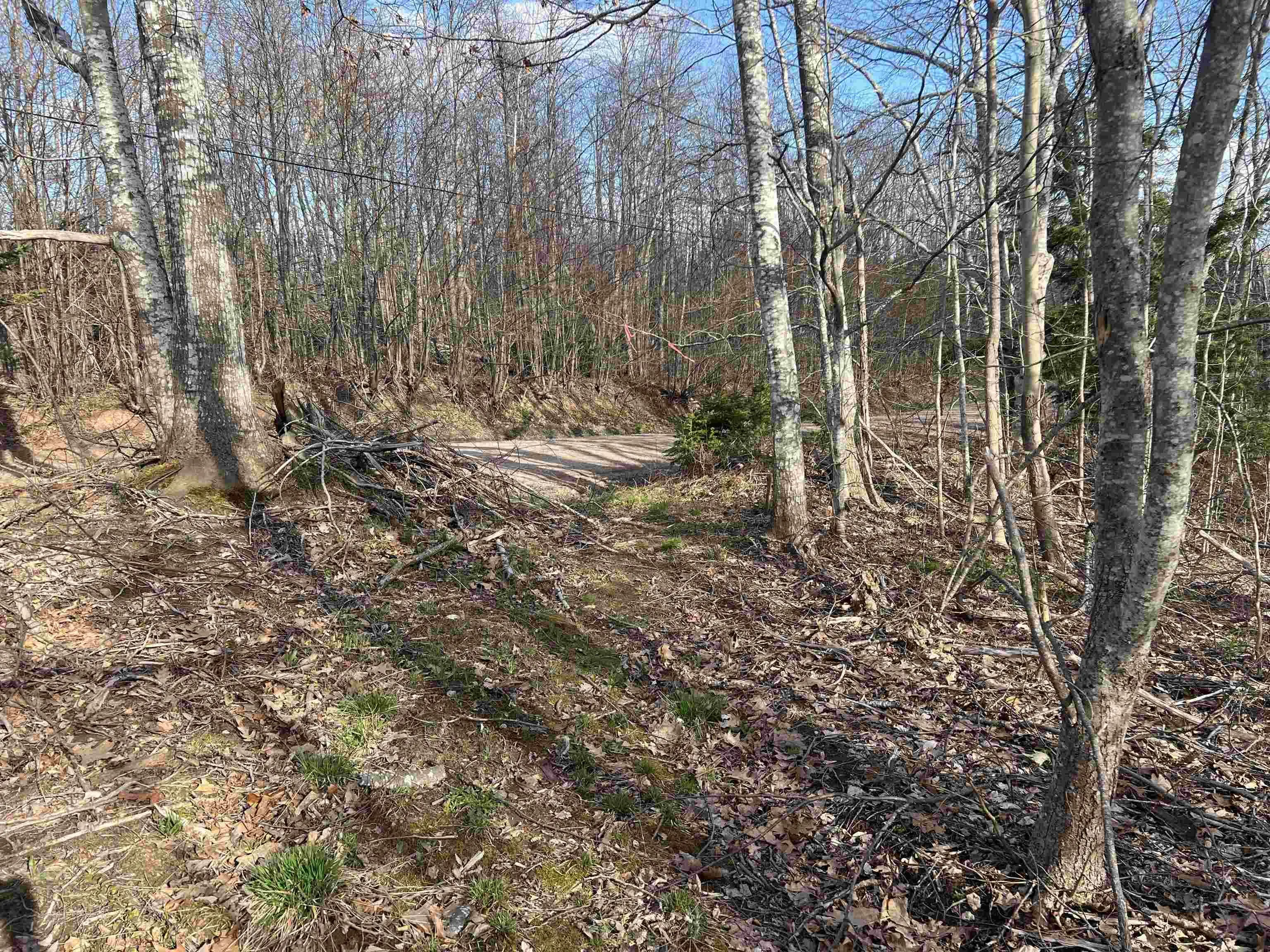 Lot 2-1-b Seaview Cemetary Road, Bay View Ns B0k 1h0, ,Land,For Sale,Seaview Cemetary,202410239