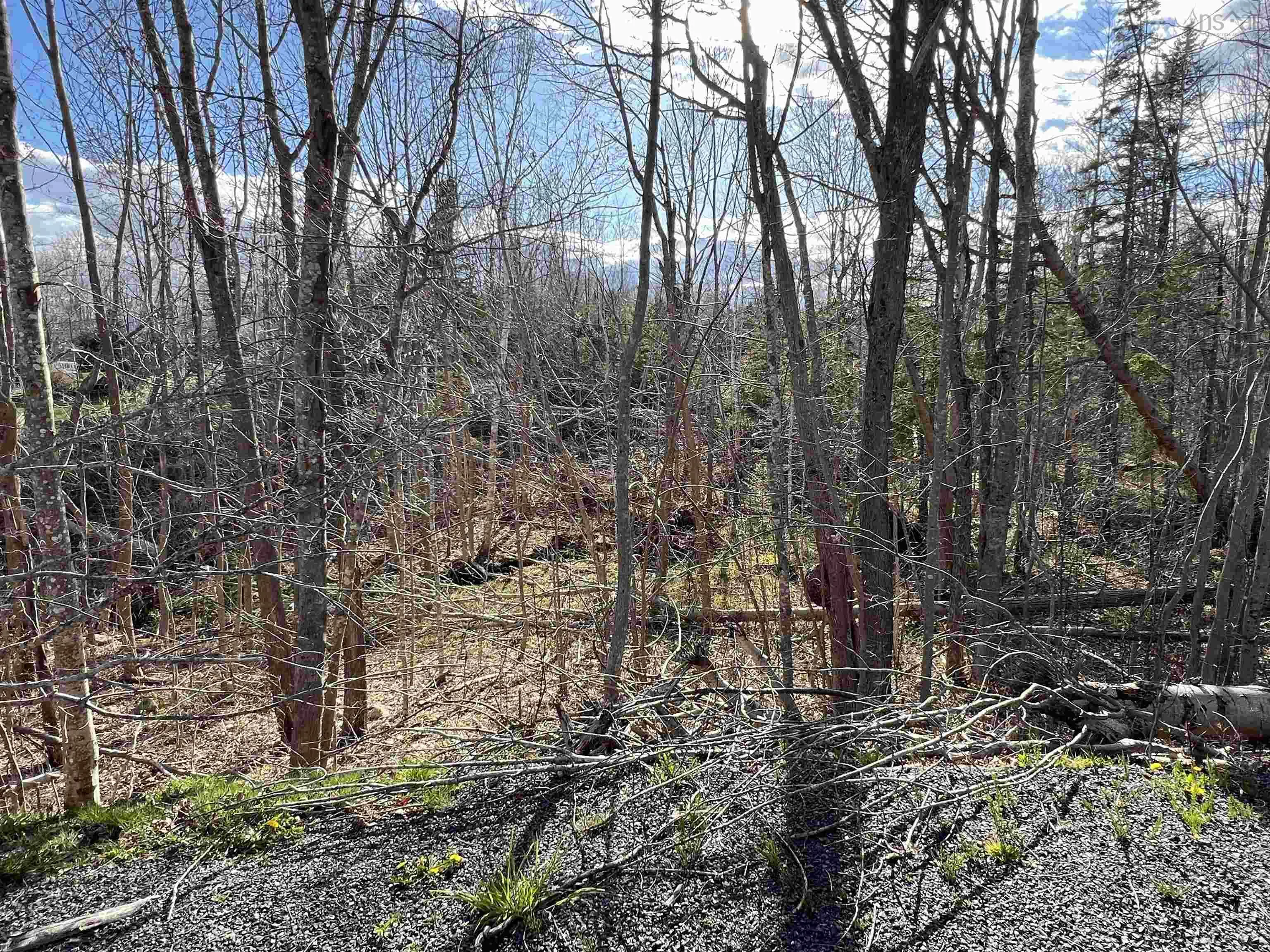 Lot 2-1-b Seaview Cemetary Road, Bay View Ns B0k 1h0, ,Land,For Sale,Seaview Cemetary,202410239