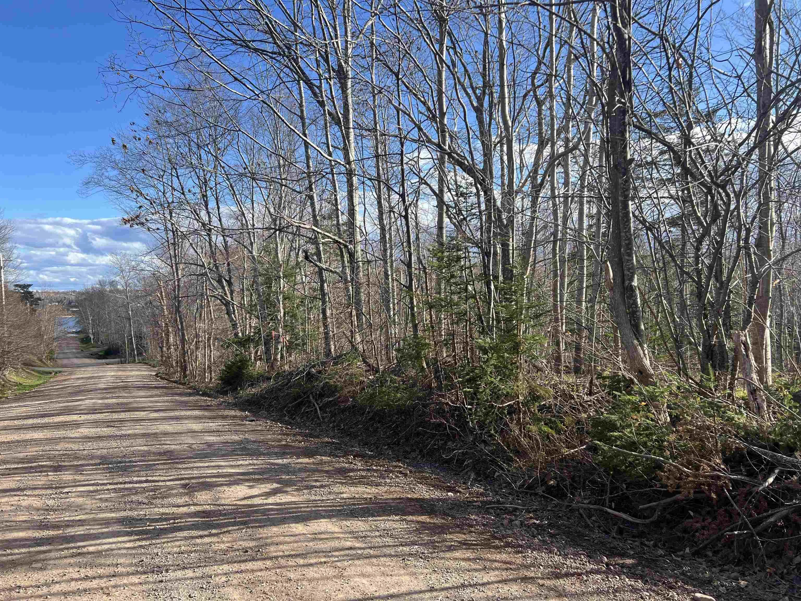 Lot 2-1-b Seaview Cemetary Road, Bay View Ns B0k 1h0, ,Land,For Sale,Seaview Cemetary,202410239