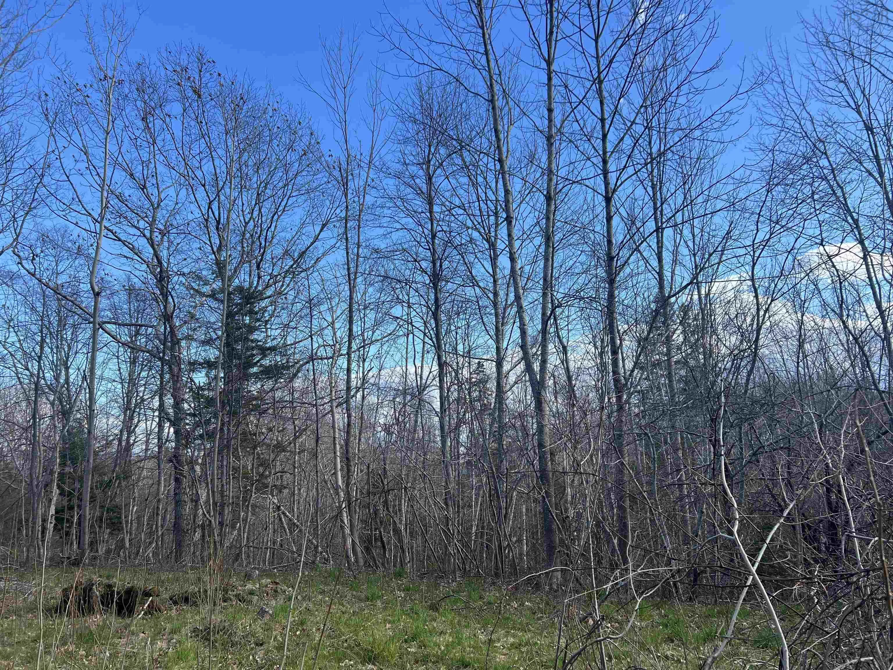 Lot 2-1-b Seaview Cemetary Road, Bay View Ns B0k 1h0, ,Land,For Sale,Seaview Cemetary,202410239