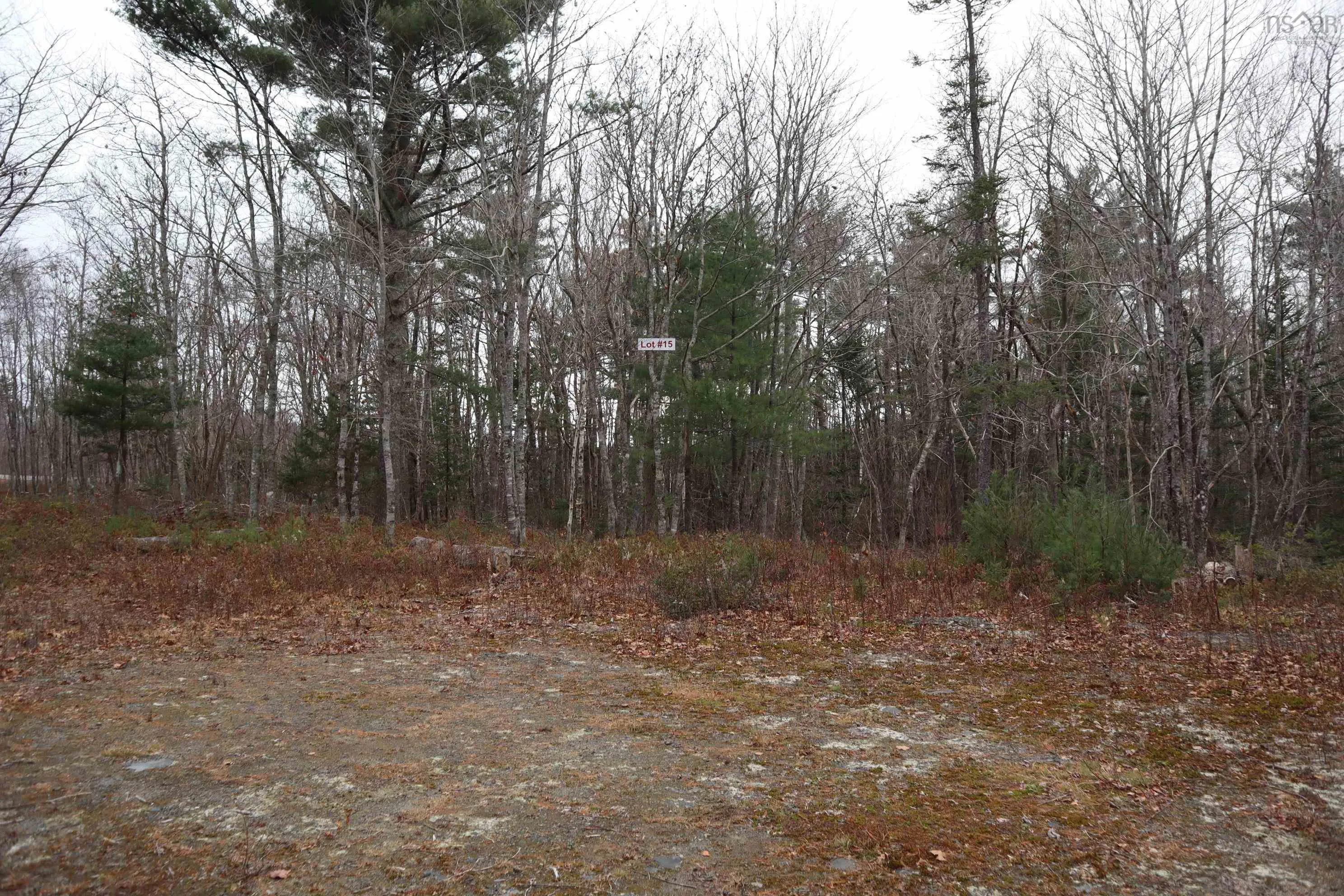 Old Port Mouton Road Lot 15, White Point Ns B0t 1k0, ,Land,For Sale,Old Port Mouton,202216506