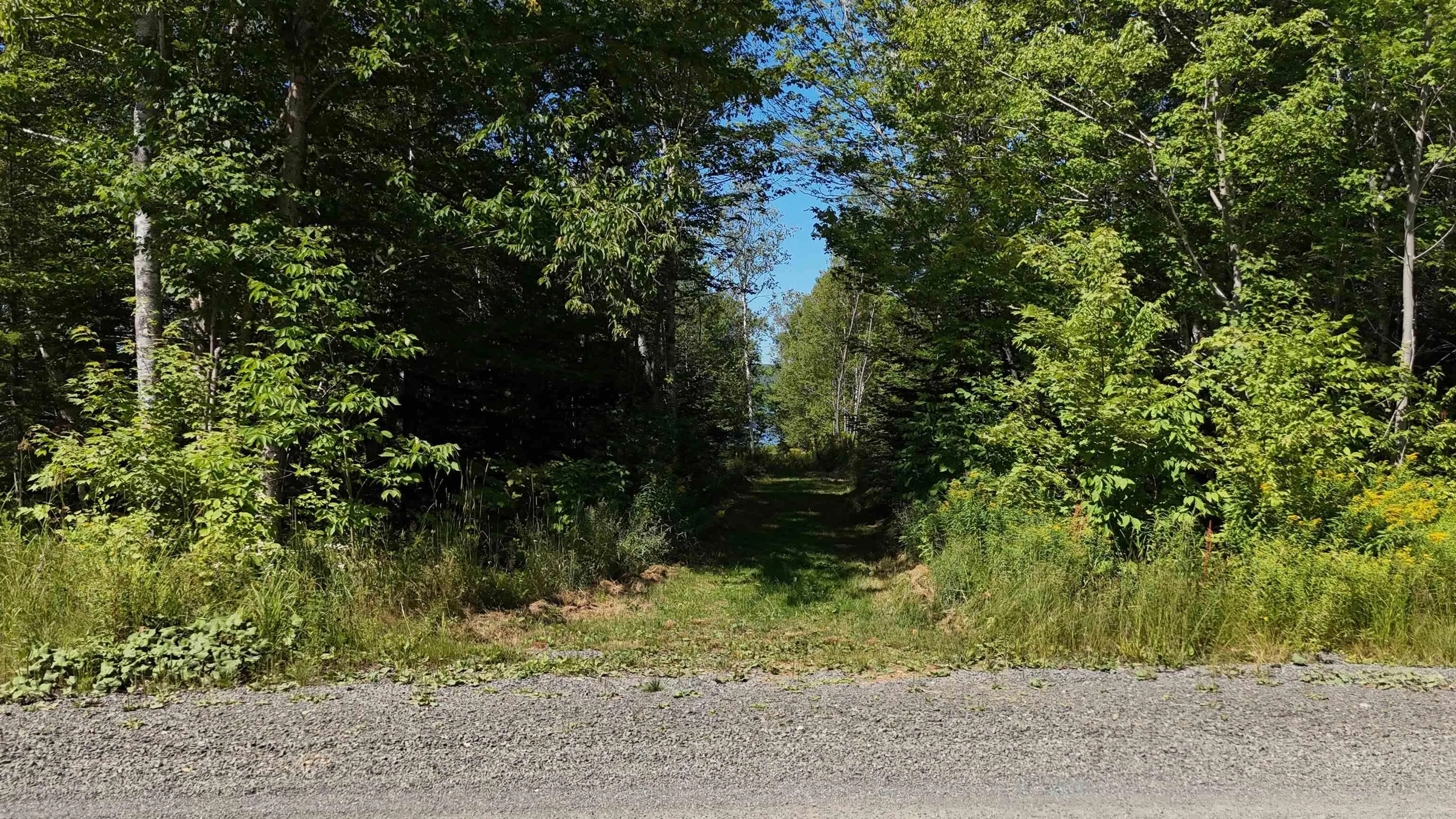 Beverlys Hill Road, Baddeck Inlet, NS B0E 1B0, ,Land,For Sale,Beverlys Hill,202519848