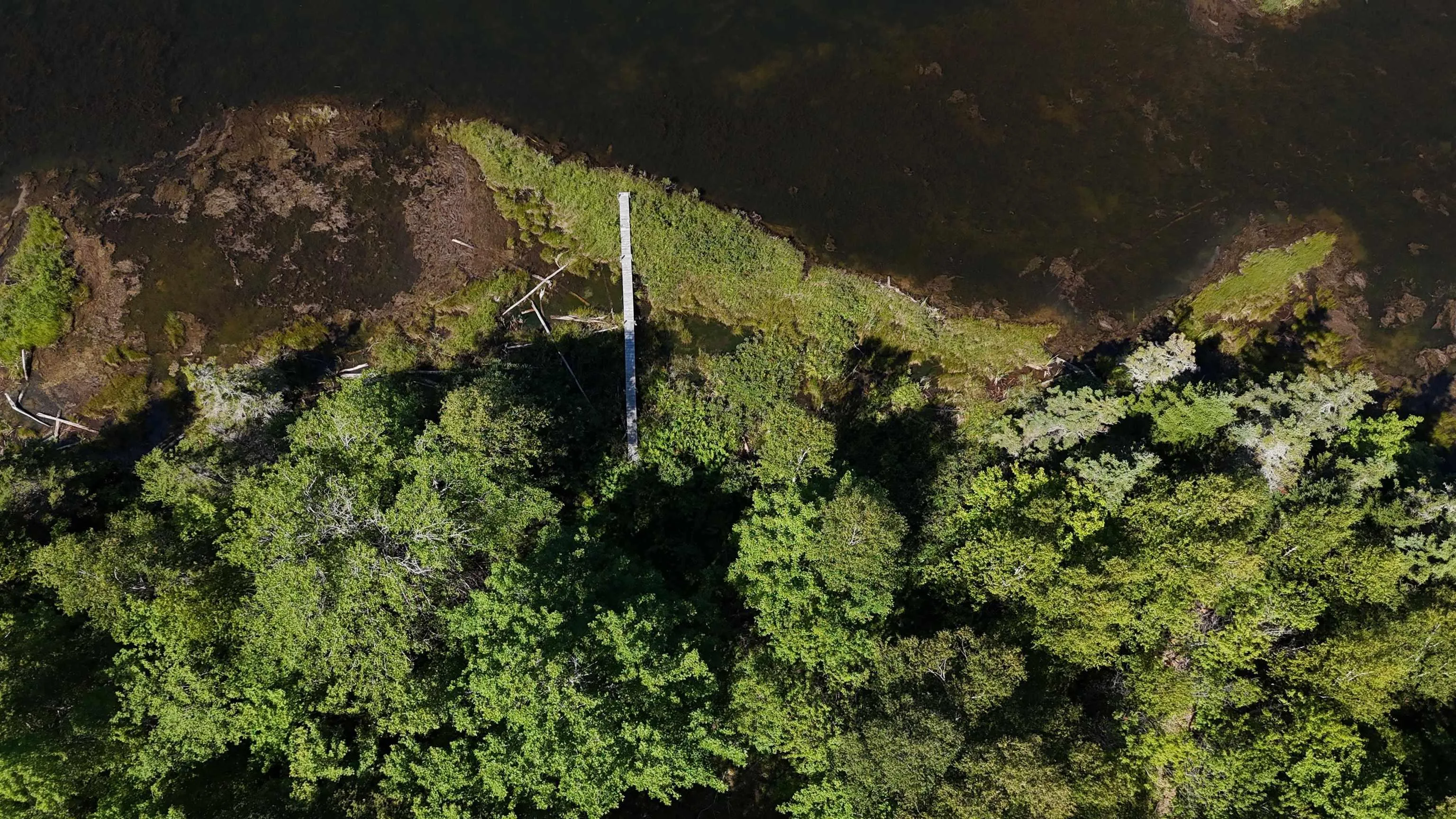 Beverlys Hill Road, Baddeck Inlet, NS B0E 1B0, ,Land,For Sale,Beverlys Hill,202519848