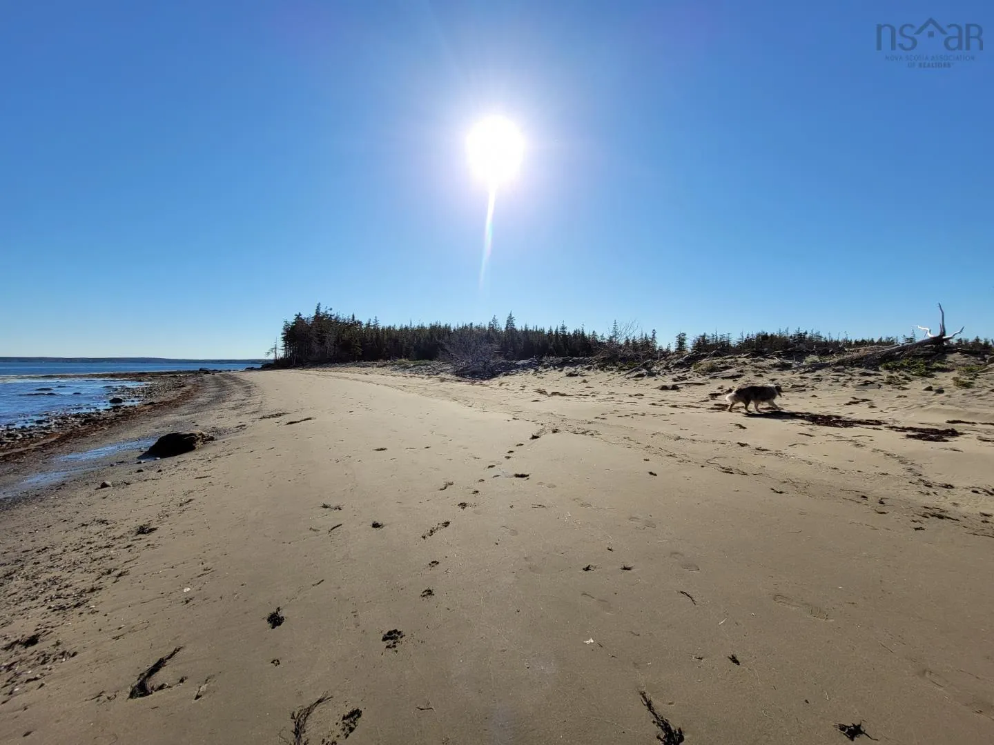 Port Morien Drive, Round Island, NS B1B 1C1, ,Land,For Sale,Port Morien Drive,202518966