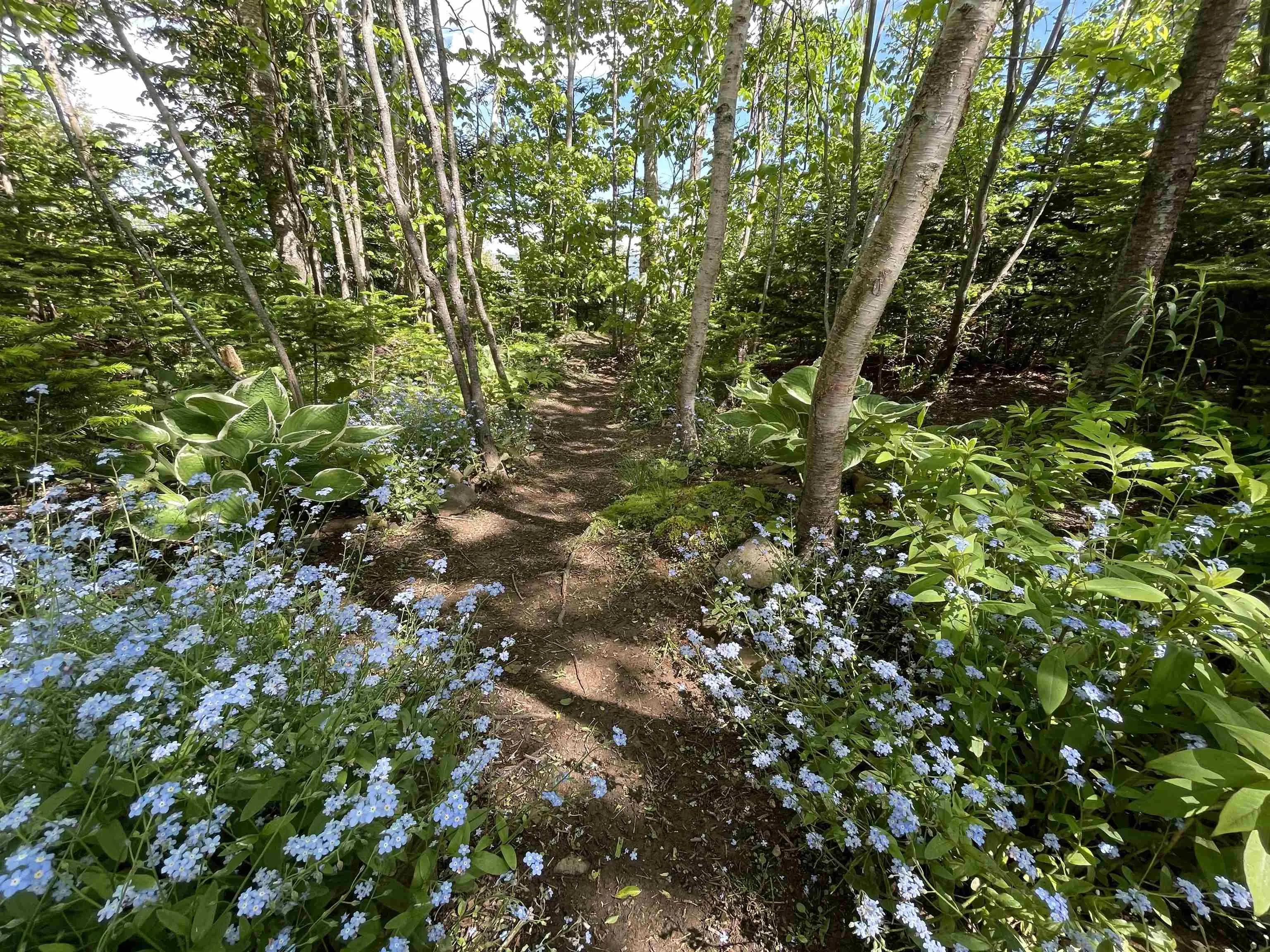 5067 Kempt Head Road, Southside Boularderie, NS B1Y 2P3, 3 Bedrooms Bedrooms, ,2 BathroomsBathrooms,Residential,For Sale,Kempt Head,202522252