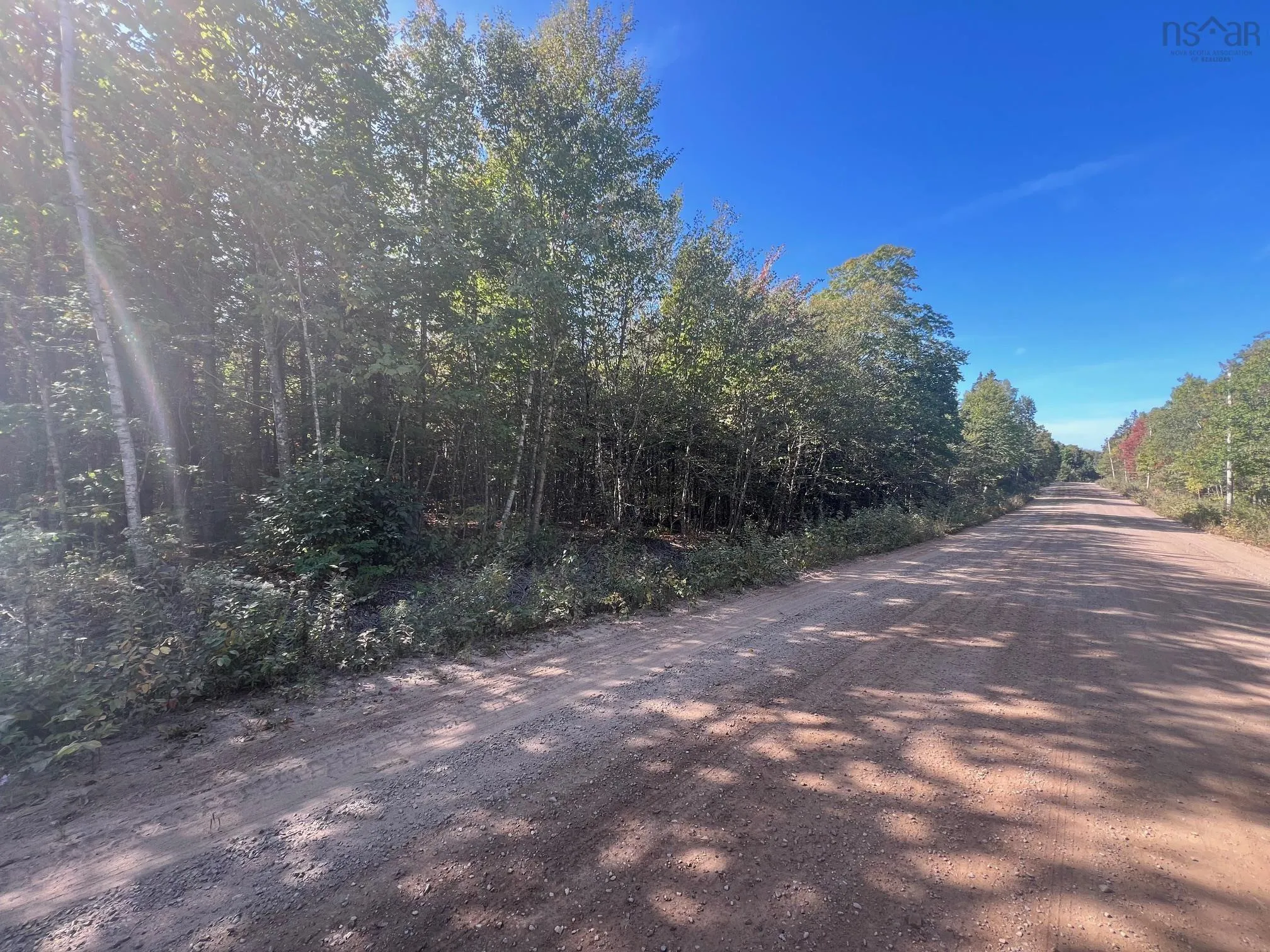 Lot Bishop Mountain Road, East Margaretsville, NS B0P 1R0, ,Land,For Sale,Bishop Mountain,202523618