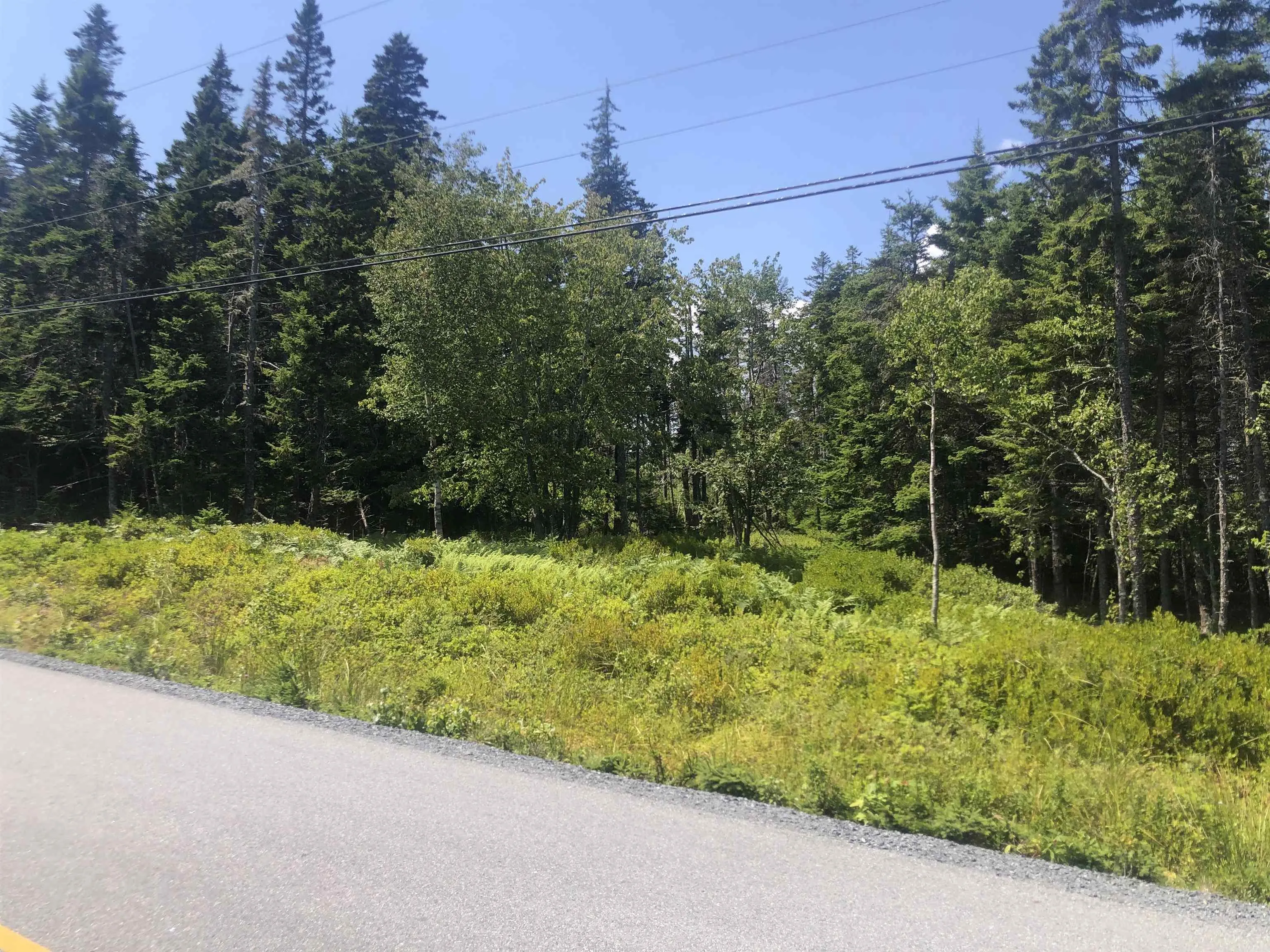 Upper Kingsburg Road, Upper Kingsburg, NS B0J 2X0, ,Land,For Sale,Upper Kingsburg,202519674