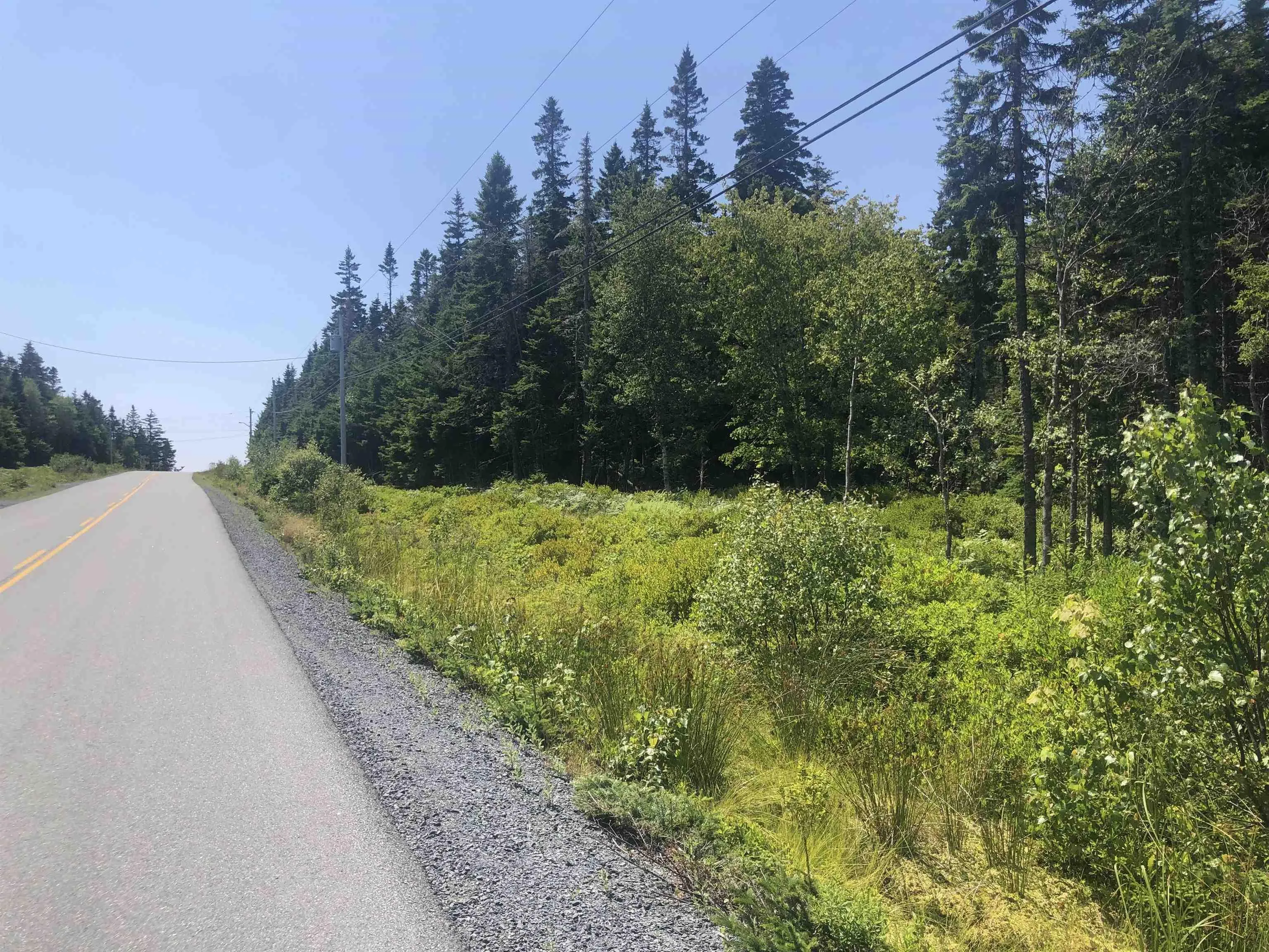 Upper Kingsburg Road, Upper Kingsburg, NS B0J 2X0, ,Land,For Sale,Upper Kingsburg,202519674
